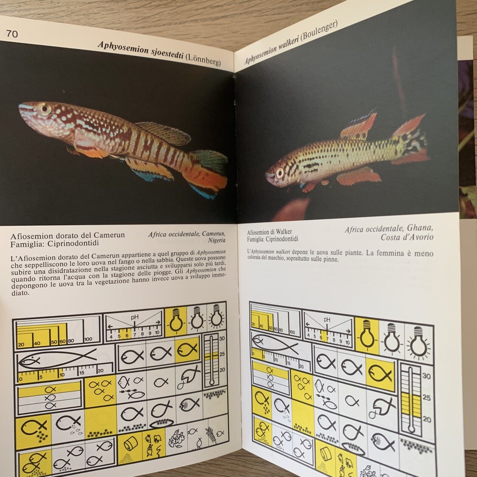 PESCI D'ACQUARIO - Jean Pierre Gosse, Verlucca editori #