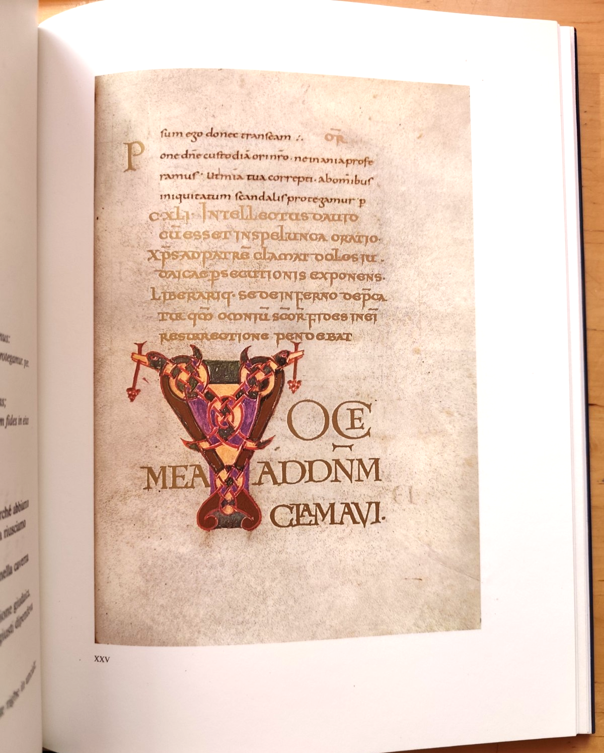 Miniature altomedievali lombarde (Medioevo Lombardia) Luigi Santucci 1978