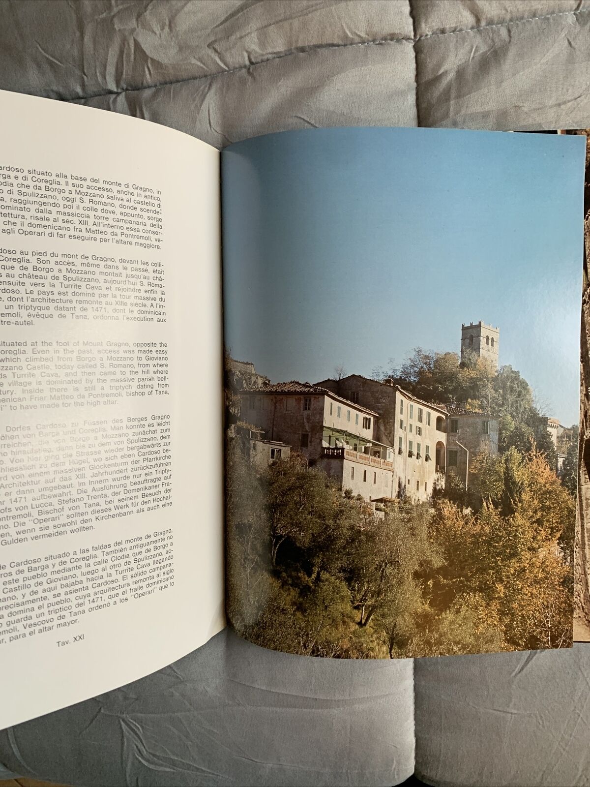LUCCA NELLE IMMAGINI - centro internazionale per lo studio delle cerchia urbane