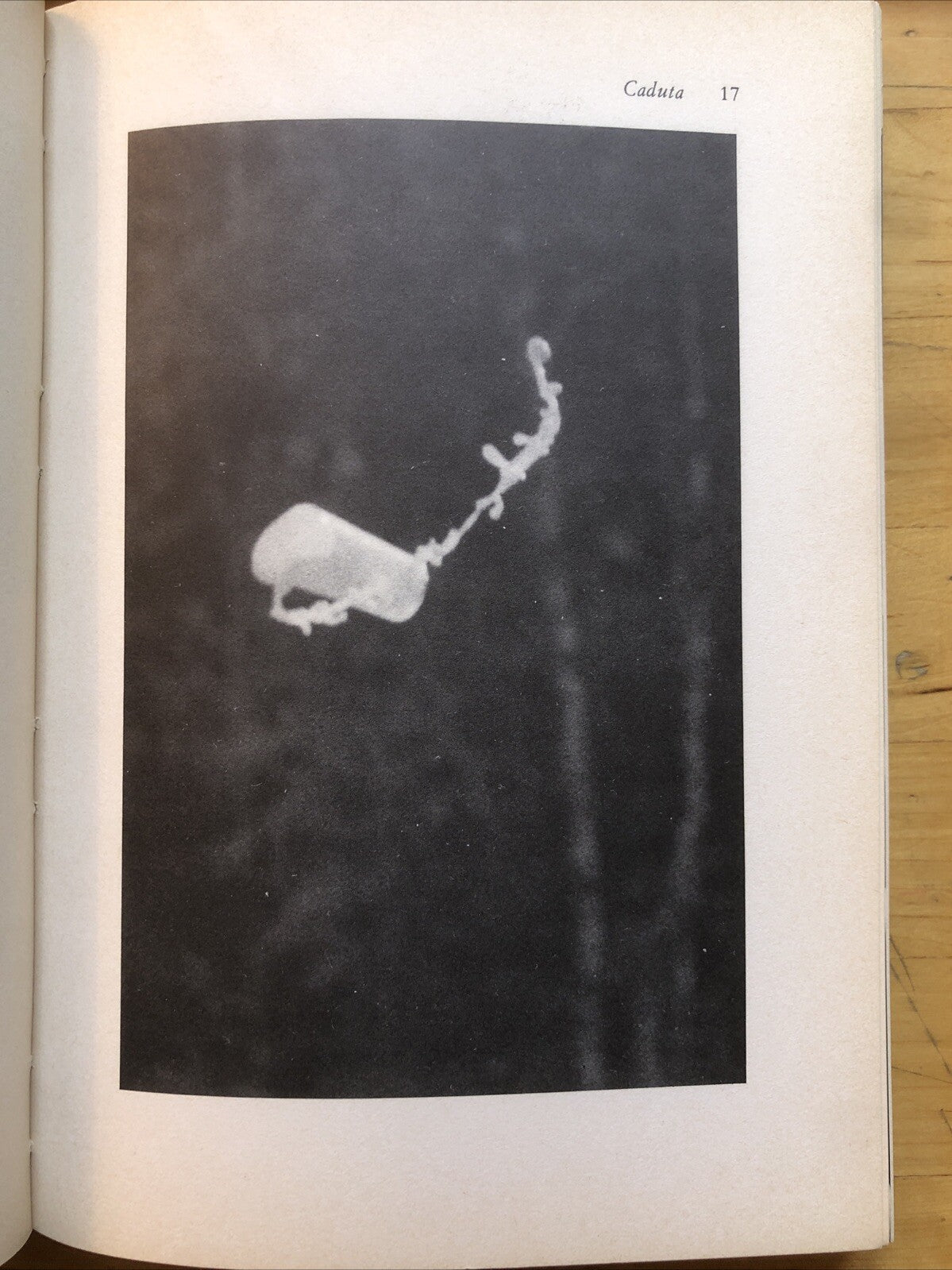 L'attrazione universale gravità e forma dello spazio Evans G. Valens -Zanichelli