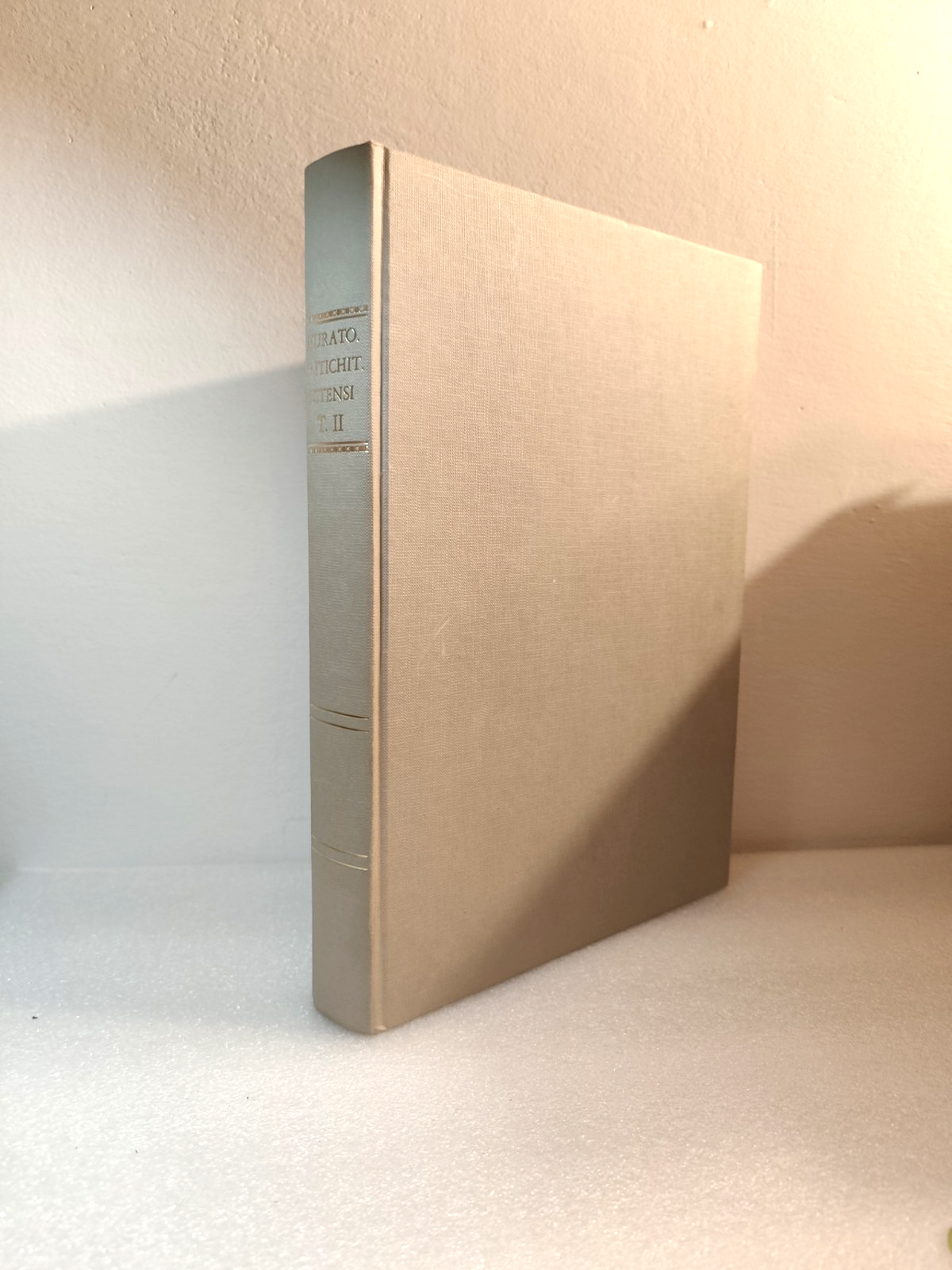 Delle Antichità Estensi, continuazione ossia parte seconda, ristampa Tamari 1988