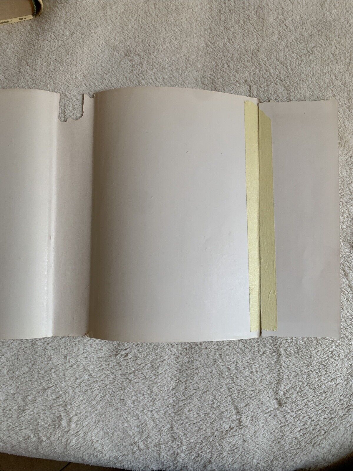 Storia documentata di Castel San Pietro dell'Emilia, Lodovico Frati. Atesa 1975