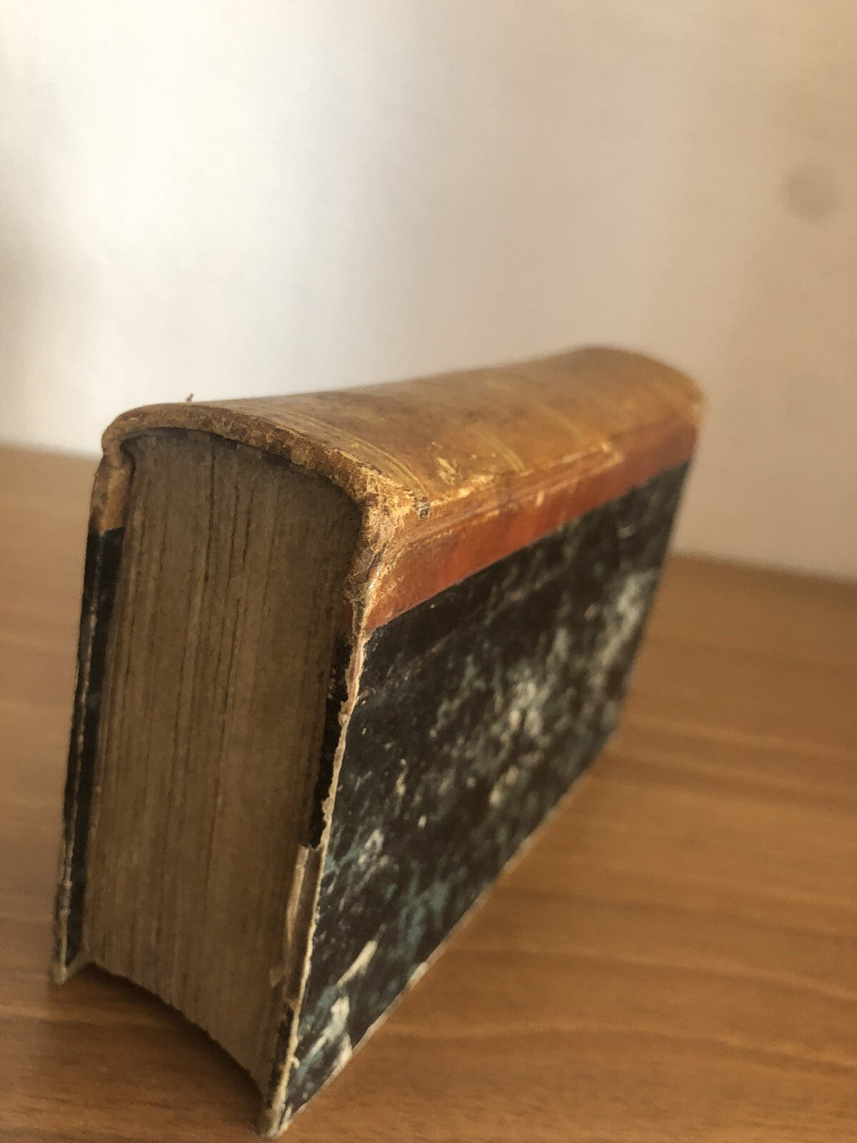 La Gerusalemme liberata, Torquato Tasso 1857 - Antonelli