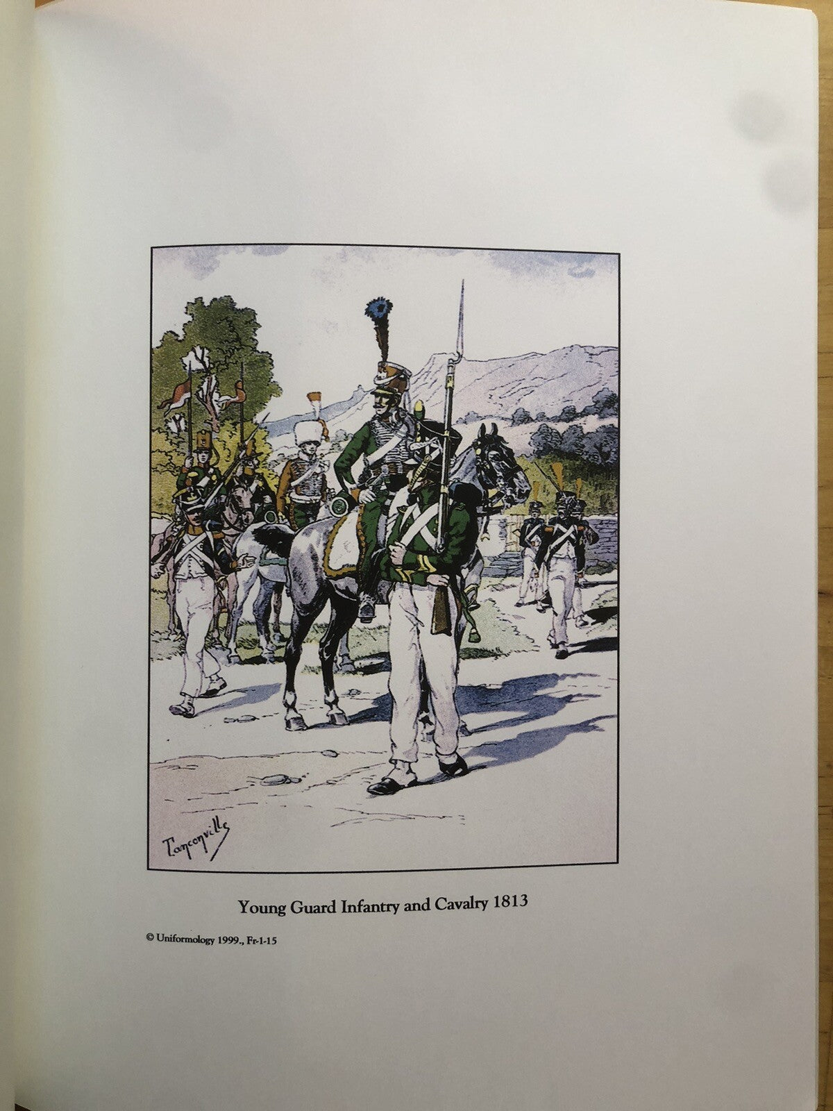 French army of the first empire, Taconville's 23 full color plates