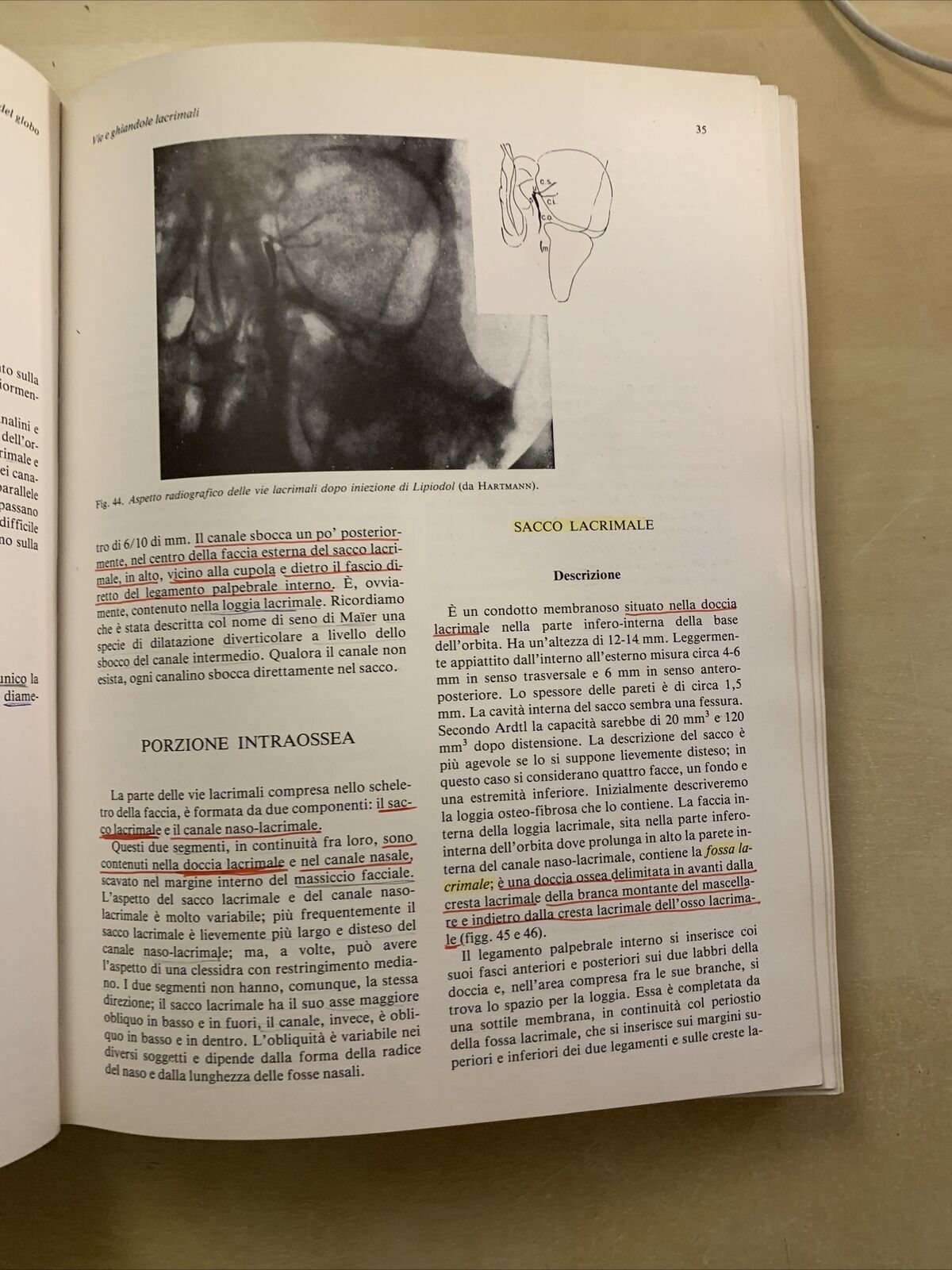 MANUALE DI ANATOMIA E ISTOLOGIA DELL'OCCHIO - SARAUX, LEMASSON, OFFRET. MASSON #