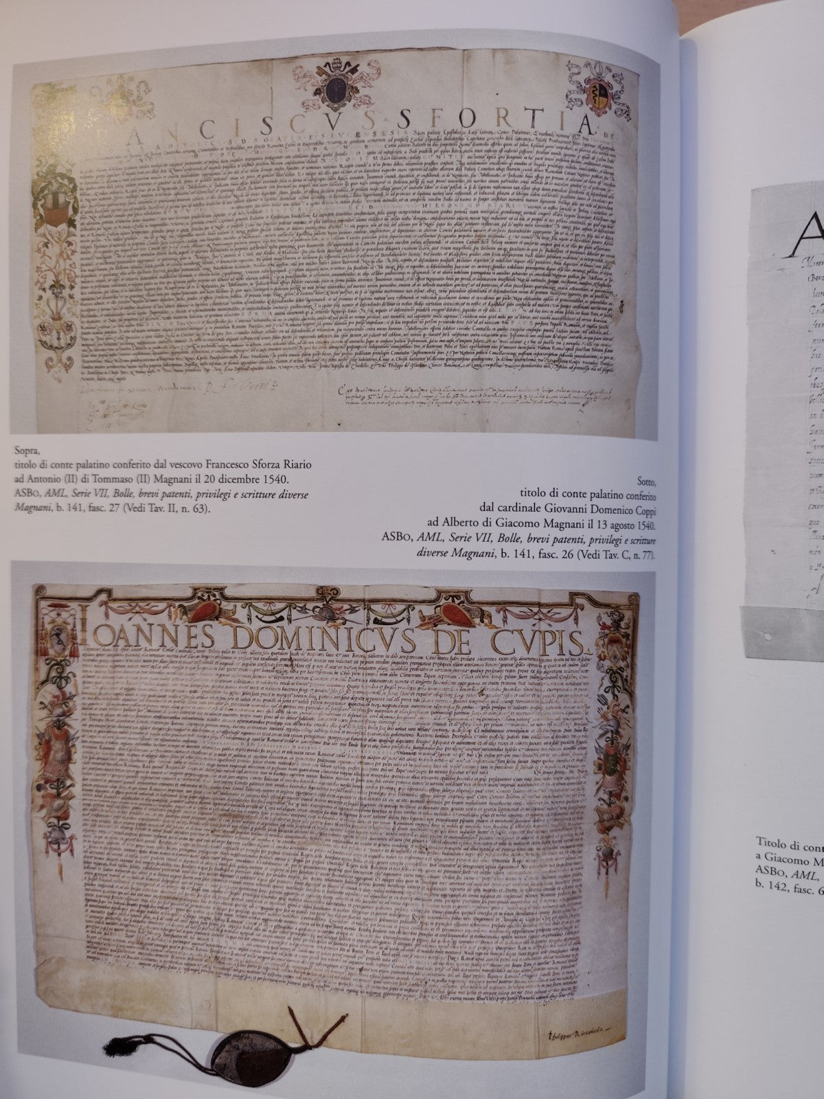 Le Famiglie senatorie di Bologna, Magnani storia genealogia e iconografia, Costa