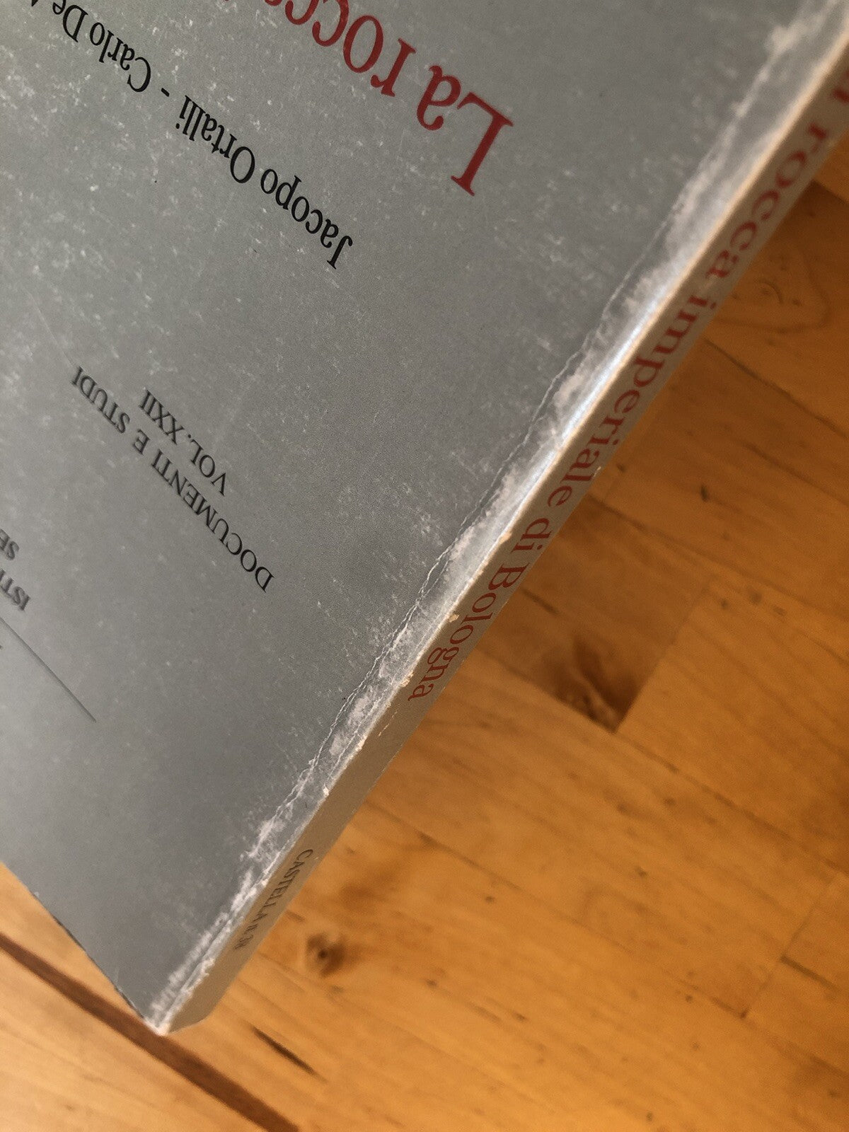 La rocca imperiale di Bologna, Jacopo Ortalli C. De Angelis, Istituto Castelli