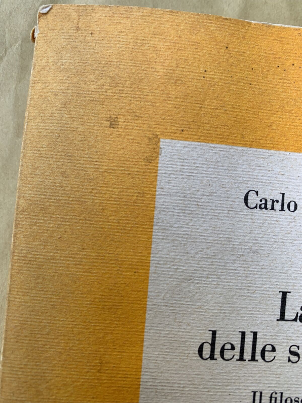 LA SELVA DELLE SOMIGLIANZE, IL FILOSOFO E IL MEDICO - CARLO AUGUSTO VIANO 1985 #