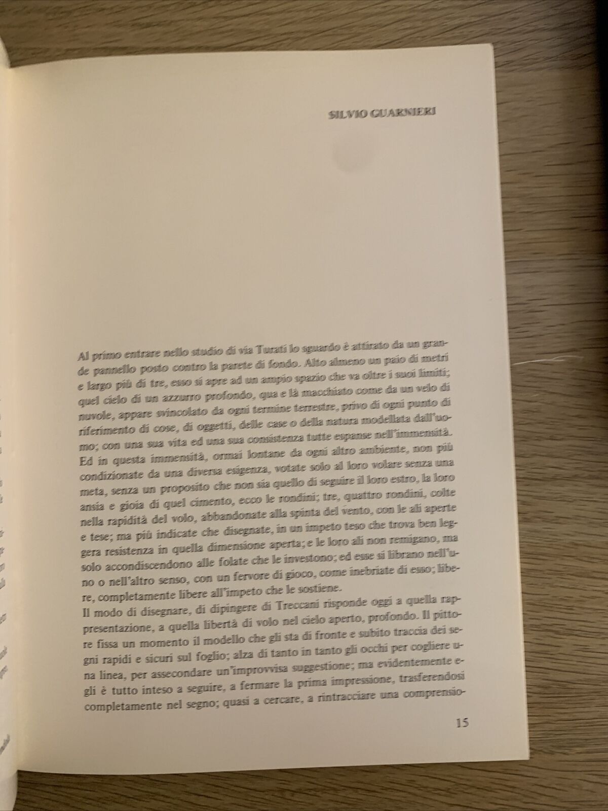 ERNESTO TRECCANI - Comune di argenta 25a fiera. Mostra del 1982 #