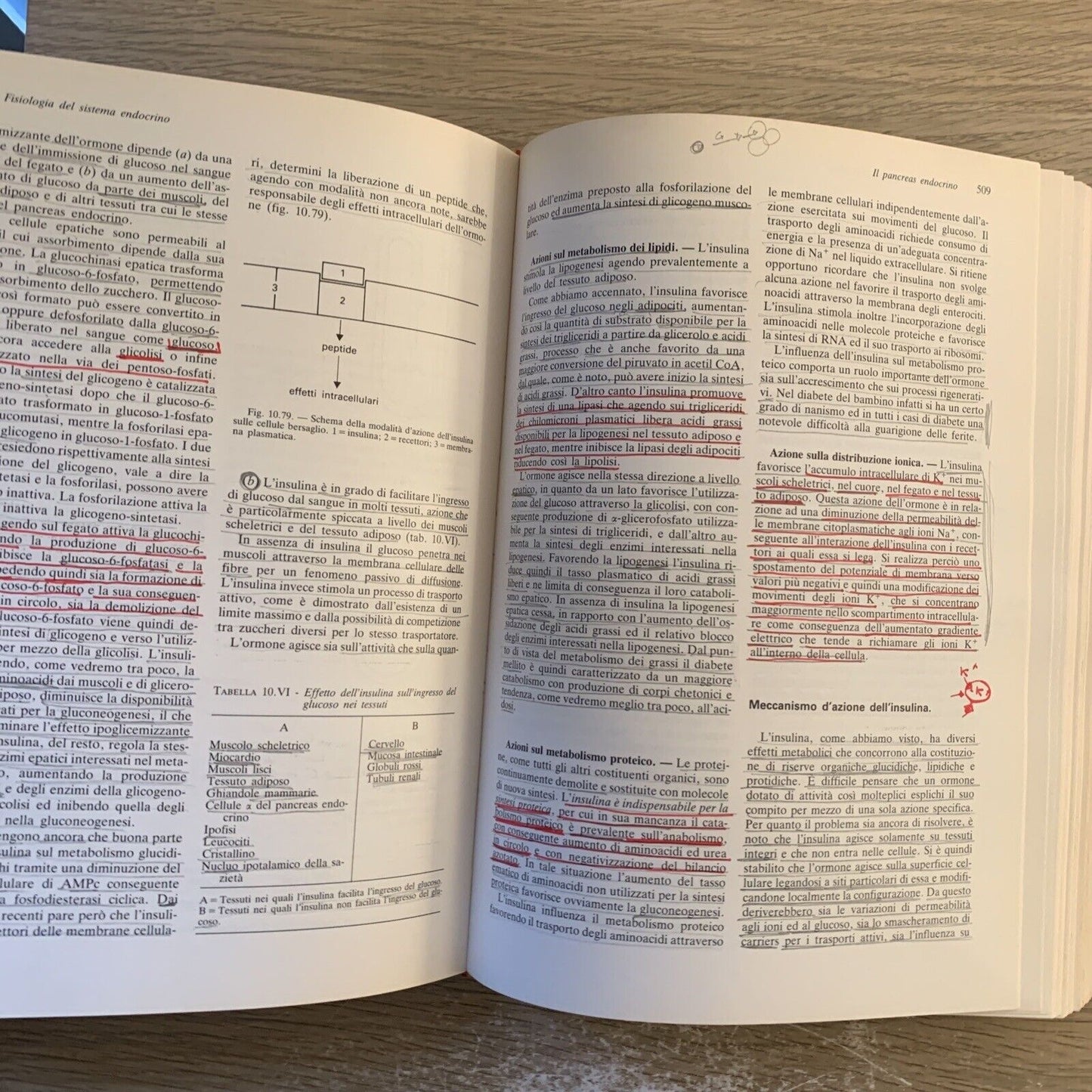ELEMENTI DI FISIOLOGIA DELL'UOMO - UTET. Fabio Francini, Losano G. UTET 1985