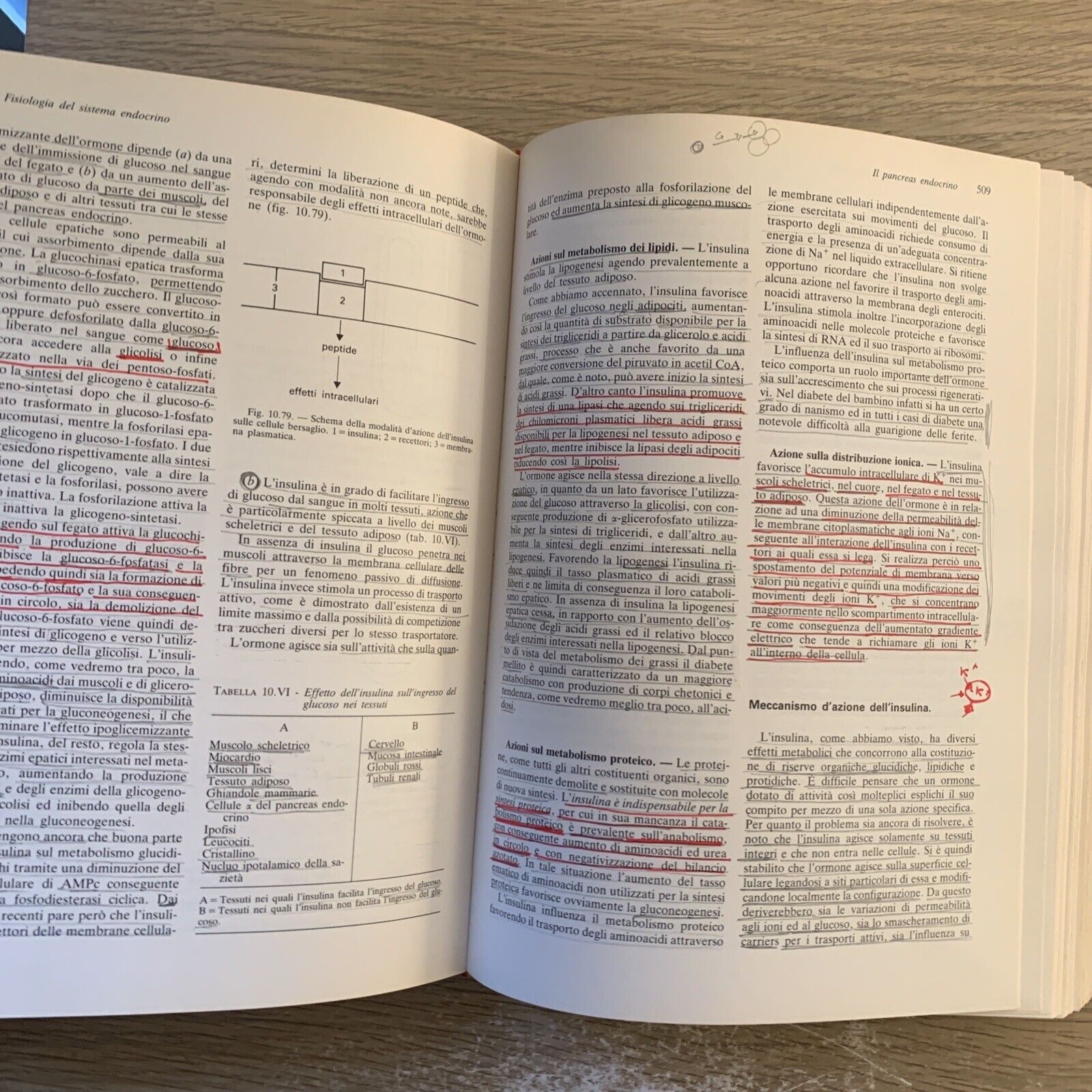 ELEMENTI DI FISIOLOGIA DELL'UOMO - UTET. Fabio Francini, Losano G. UTET 1985