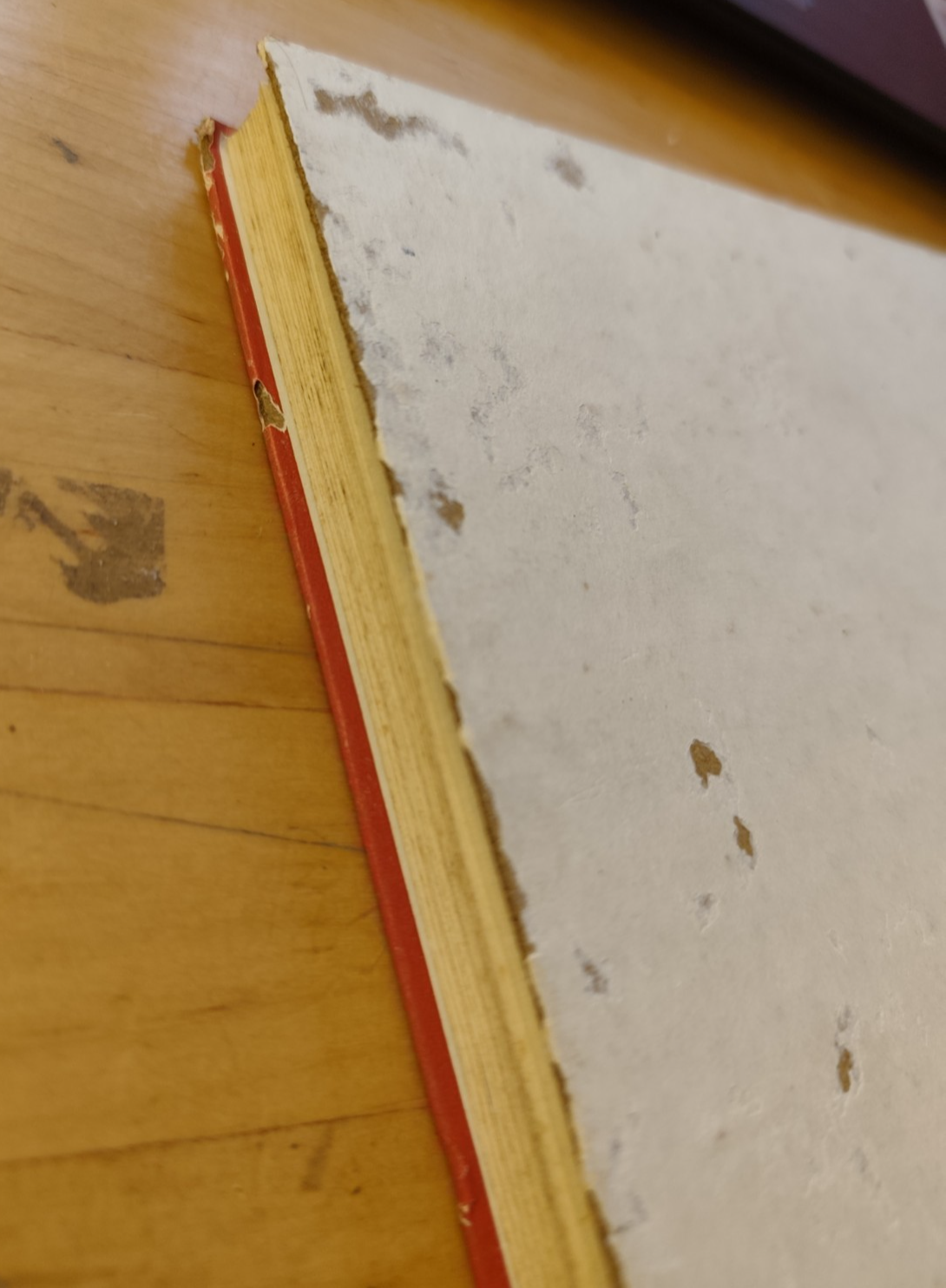 Storia illustrata del motociclismo in Italia, vol. 1 dalle origini al 1924