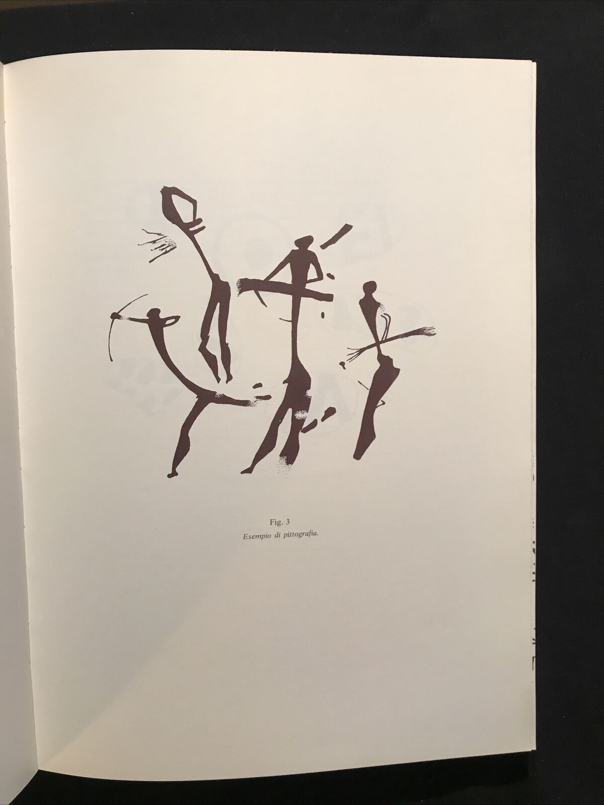 LA SCRITTURA - FRANCESCO MERLETTI banca popolare pesarese #