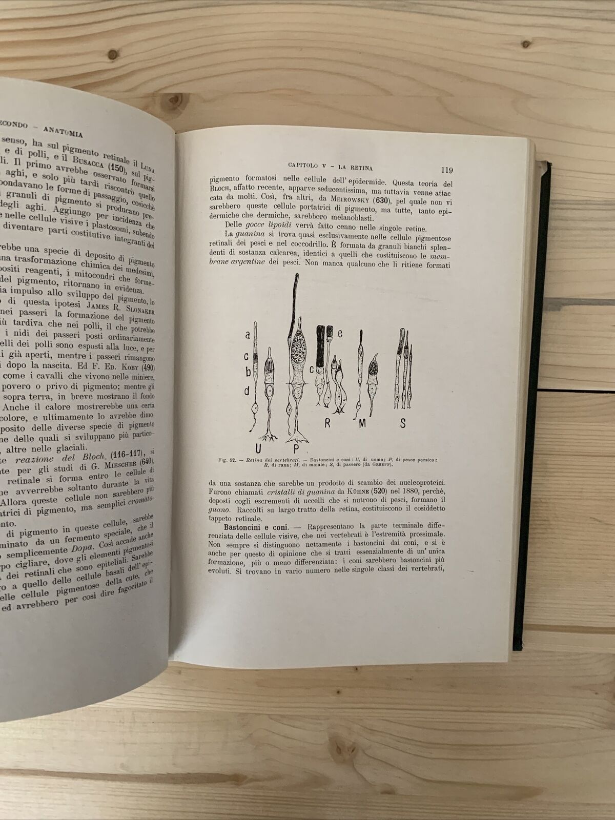 ANATOMIA E FISIOLOGIA DELL'OCCHIO NELLA SERIE ANIMALE - Giuseppe Ovio 1925 #