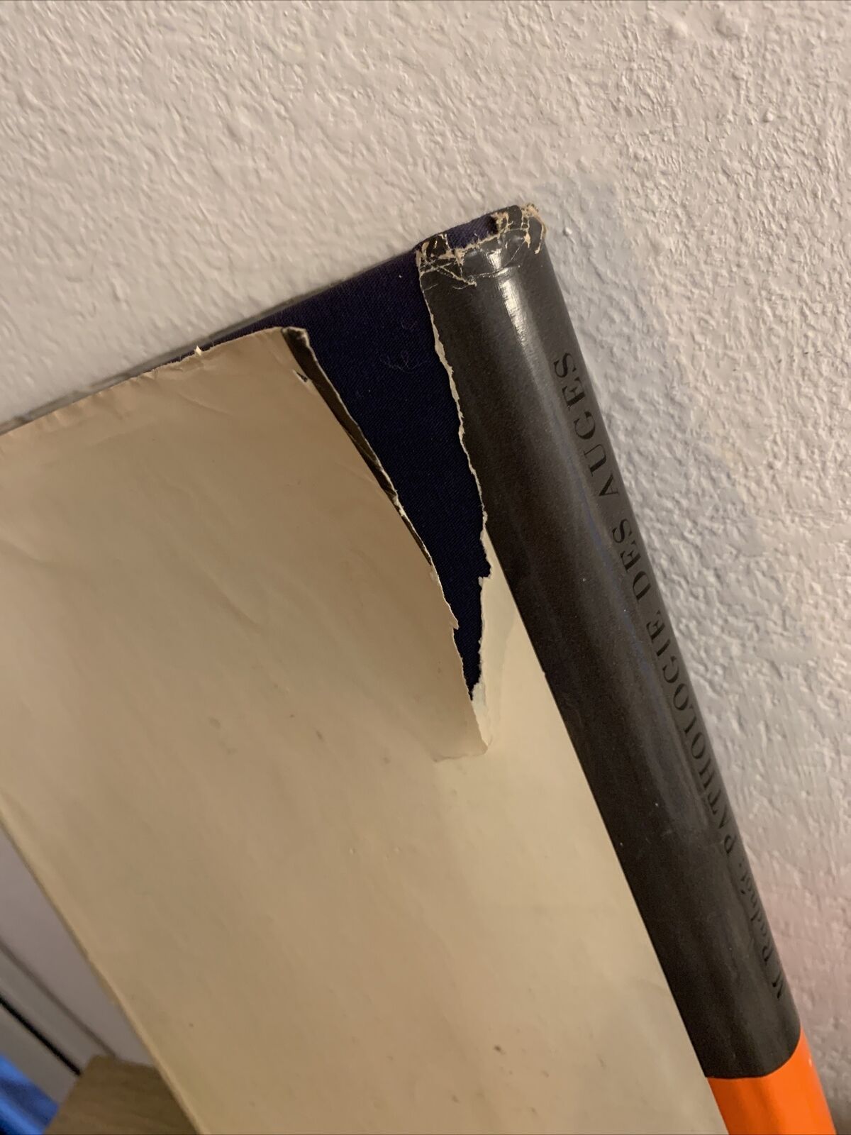 Pathologie des auges - M. Radnót 1958