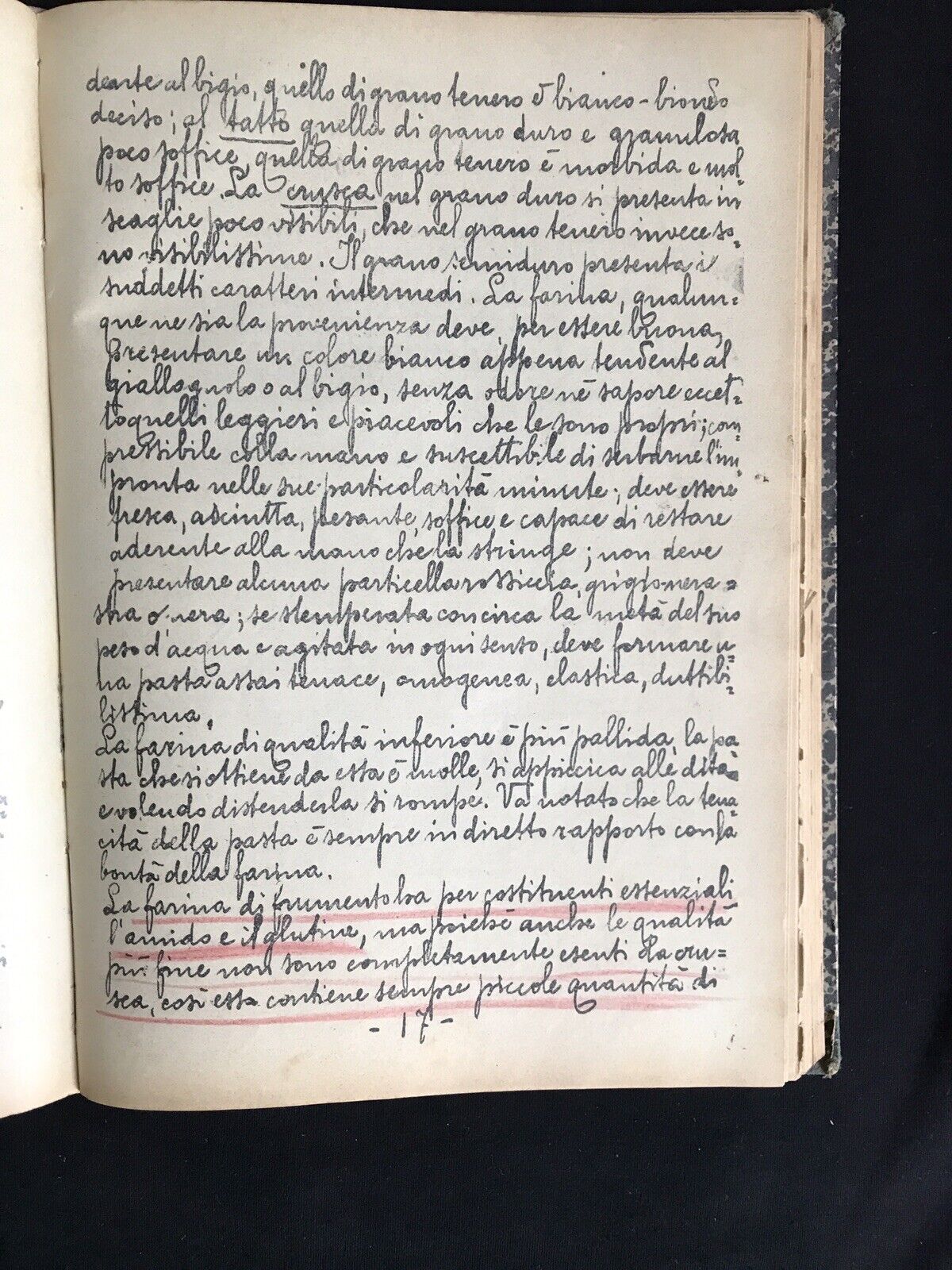 Lezioni di Chimica Bromatologica del dott. Mario Raffo, Università Bologna 1912