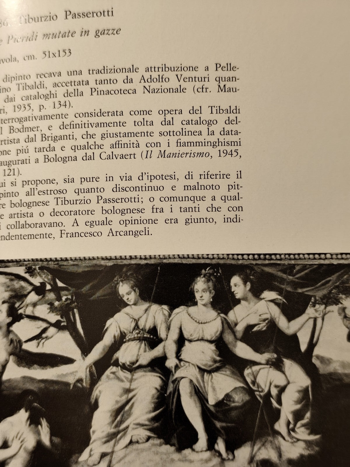 La Pinacoteca Nazionale di Bologna, Andrea Emiliani, Cappelli editore 1967