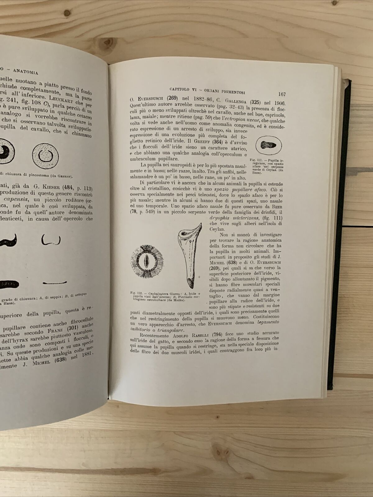 ANATOMIA E FISIOLOGIA DELL'OCCHIO NELLA SERIE ANIMALE - Giuseppe Ovio 1925 #