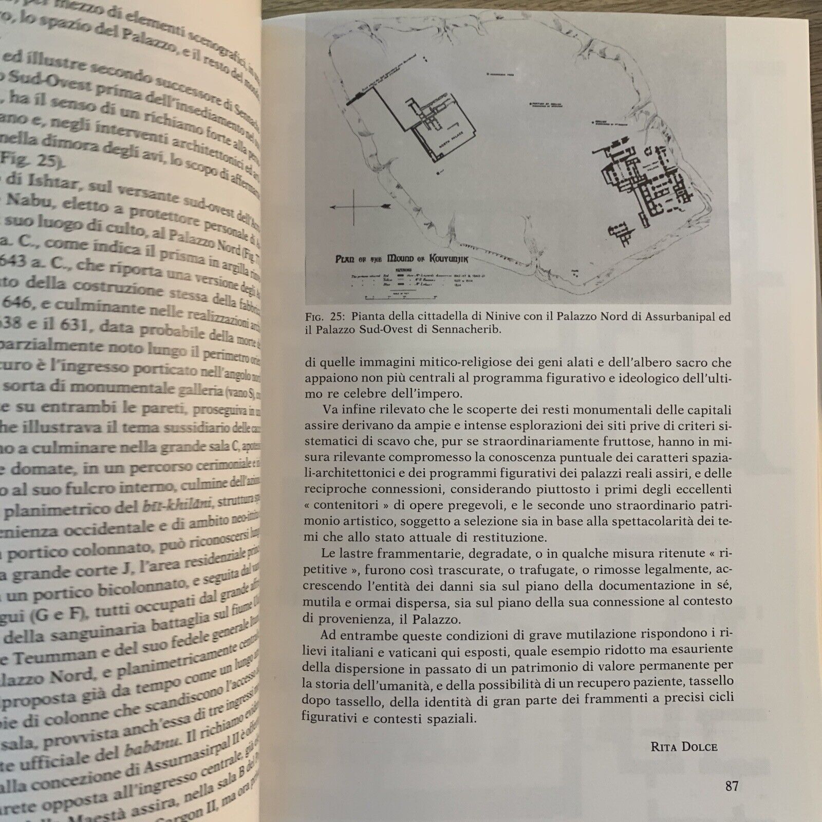 DAI PALAZZI ASSIRI immagini di potere da Assurnasirpal II ad Assurbanipal IX-VII