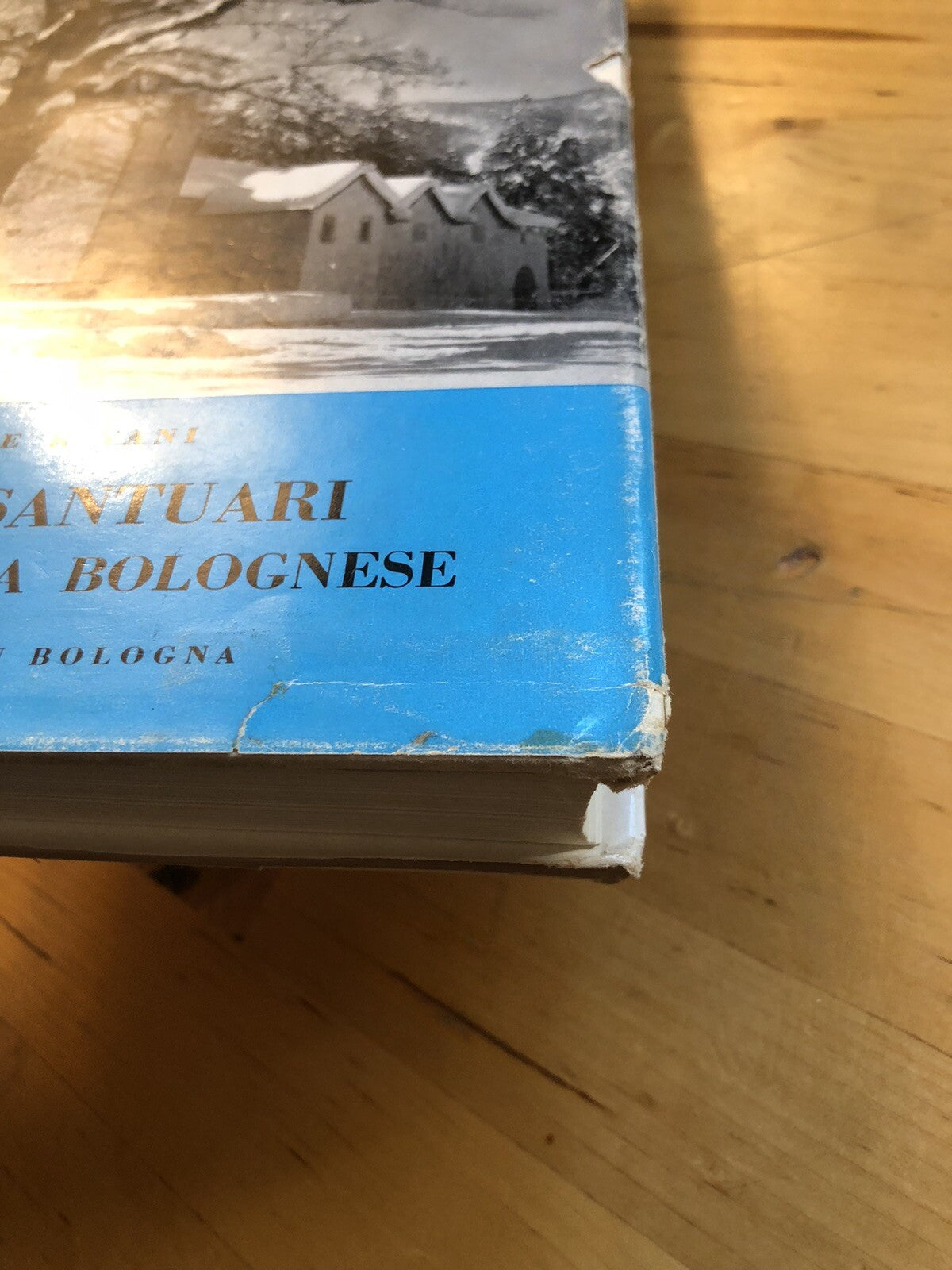 Chiese e Santuari della montagna Bolognese, G. Rivani. Tamari edizioni 1965