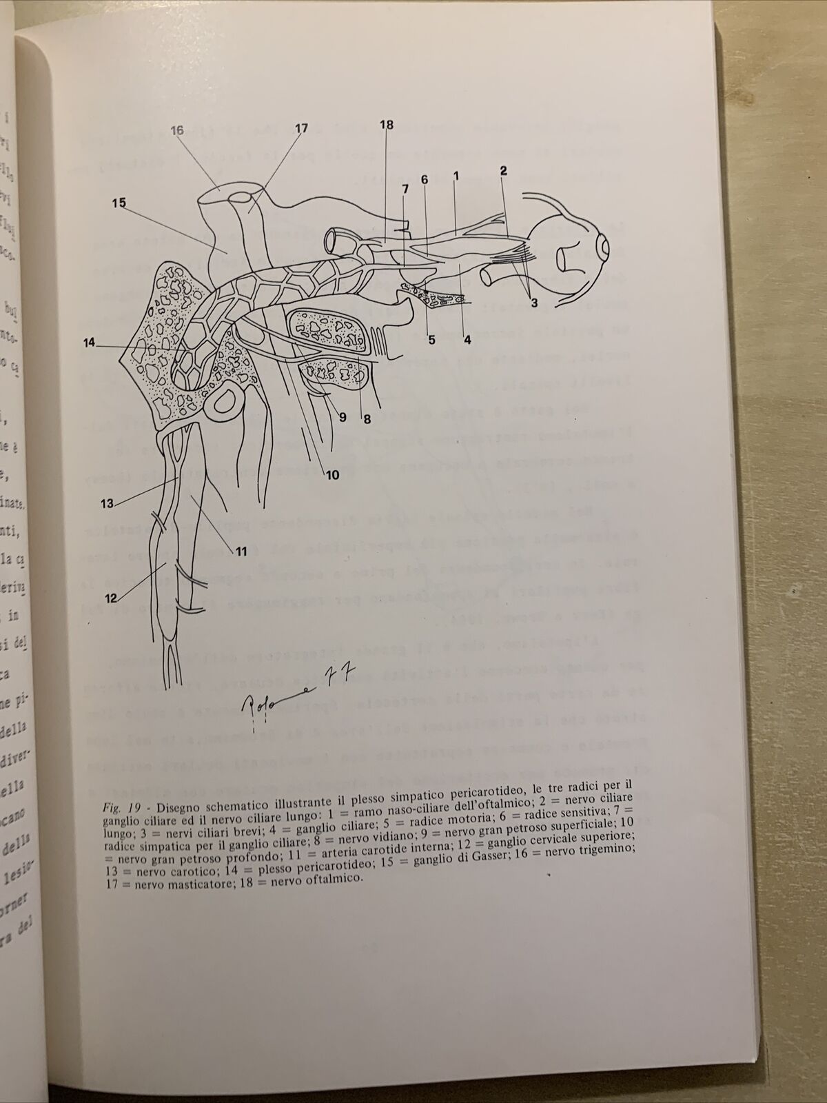 APPUNTI DI NEUROFTALMOLOGIA - PATOLOGIA DEL SISTEMA NERVOSO. F. CARTA 1977 #
