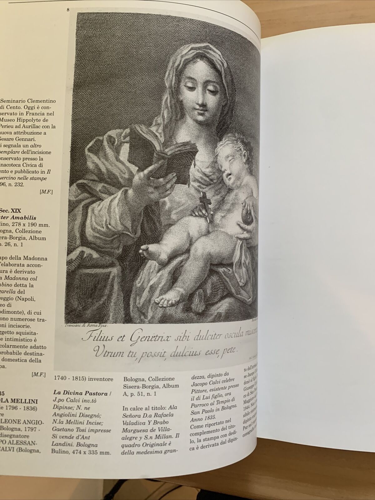 Per quella pietà divina. Immagini sacre e devozione popolare . . Fabio Foresti #