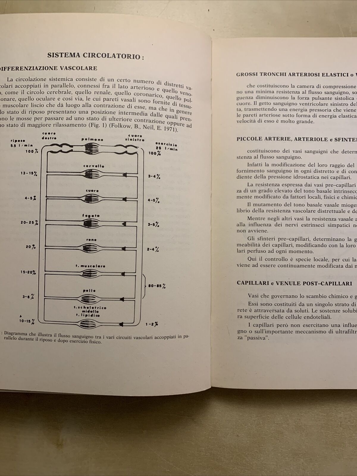Circolazione oculare e dinamica dei liquidi oculari - Severino Cioli 1981 Nobili