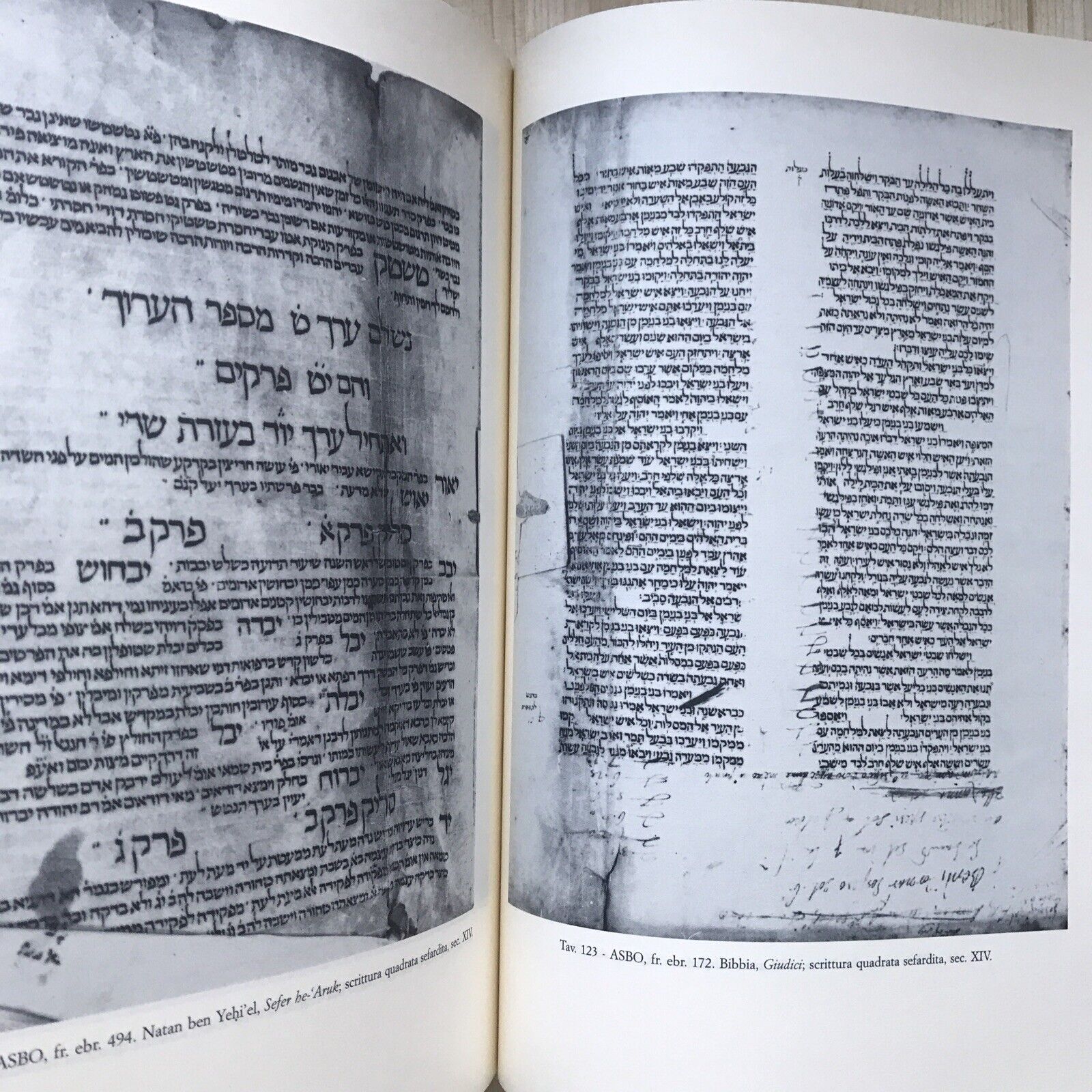 I FRAMMENTI EBRAICI DI BOLOGNA, archivio di stato e collezioni minori, Olschki