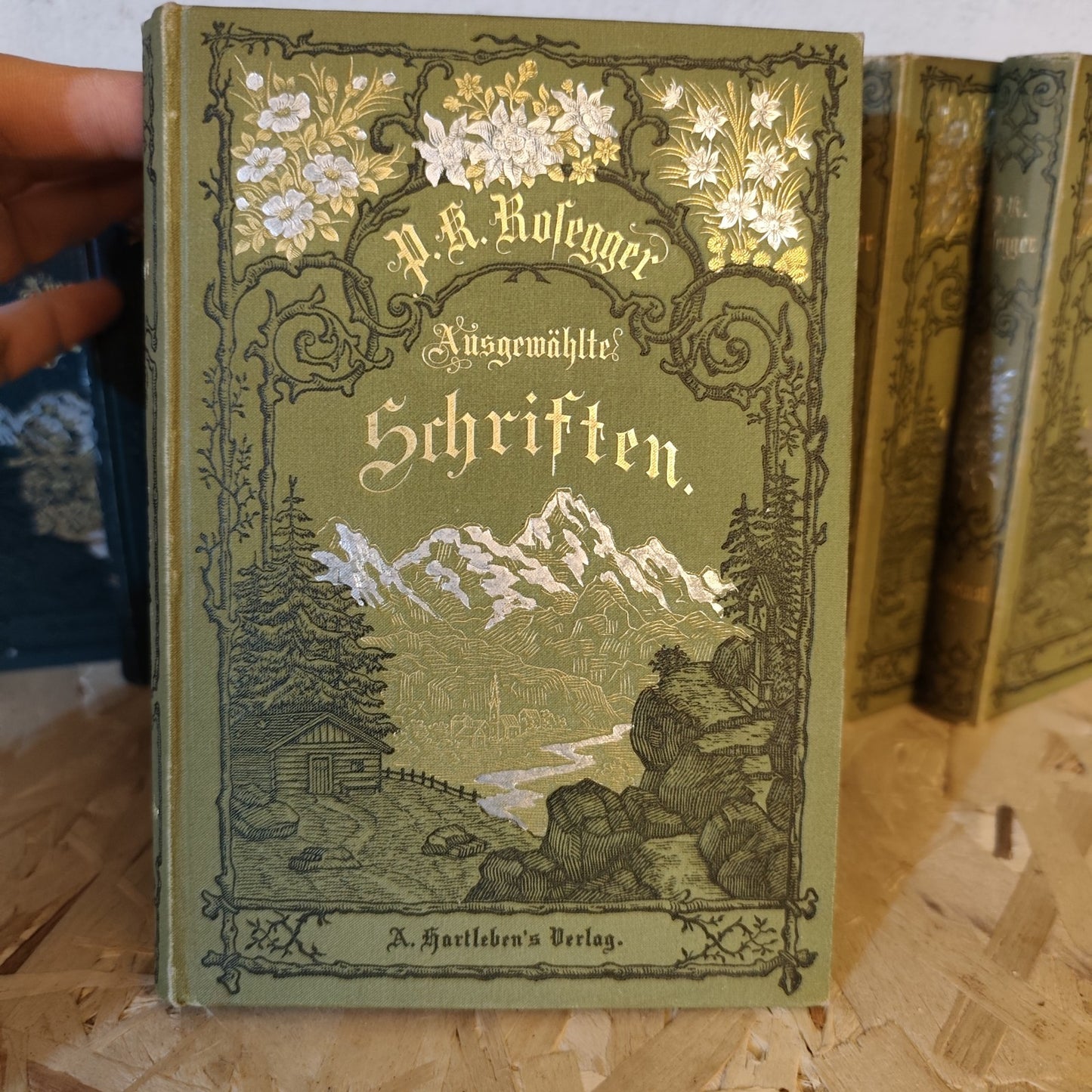 9 Bände P.K. Rosegger - Prachteinbände - A. Hartleben Verlag - Ende 19. Jh.
