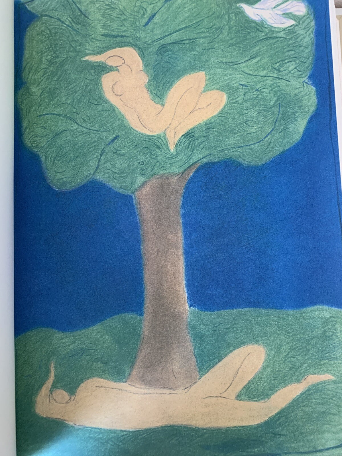Cantico dei cantici, EDIZIONE PREGIATA Pierre Boncompain. Art'e', G. Ravasi 2002