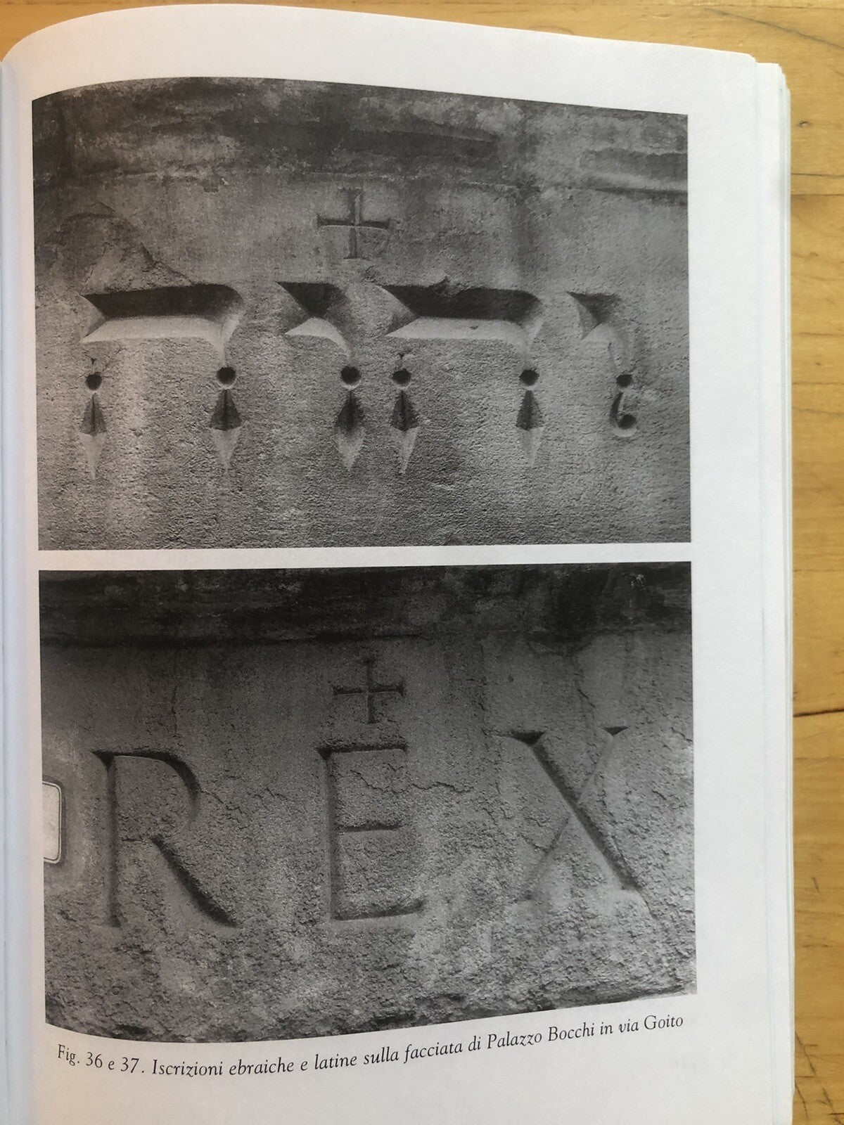 Bologna magica, i misteri di una città. Morena Poltronieri, E. Fazioli 1999