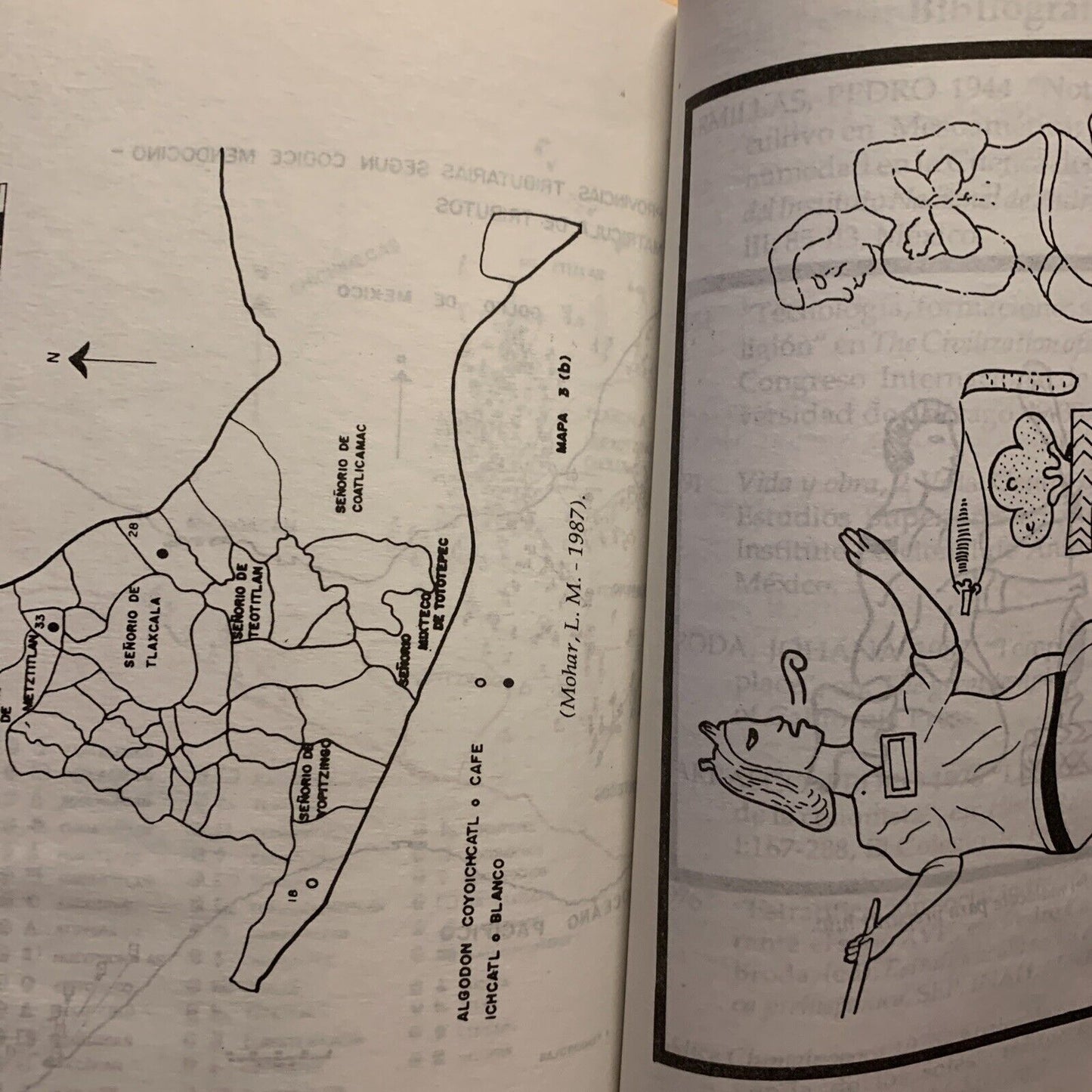 Agricultura prehispanica y colonial - Mario Ardon Mejia. editorial guayamuras