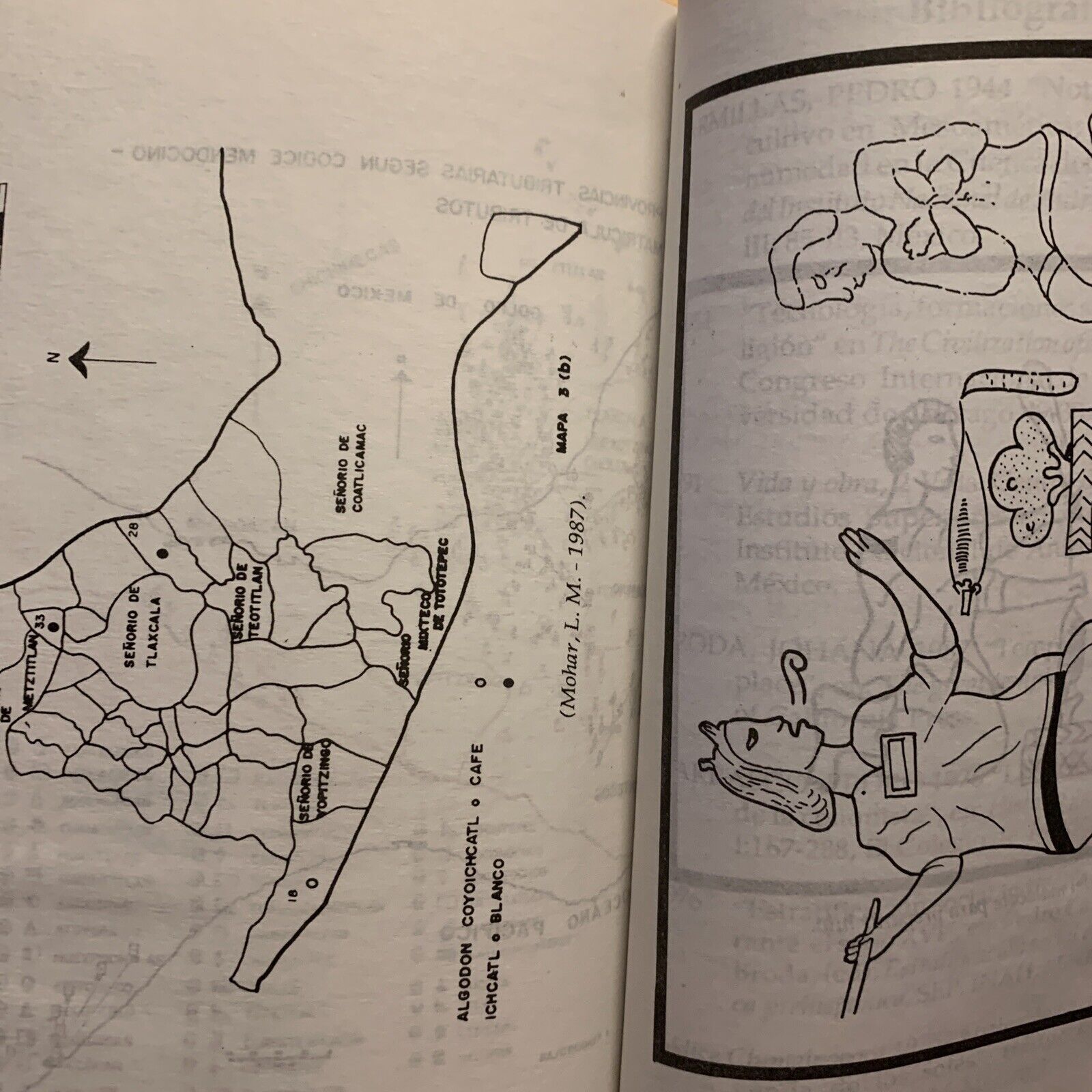 Agricultura prehispanica y colonial - Mario Ardon Mejia. editorial guayamuras
