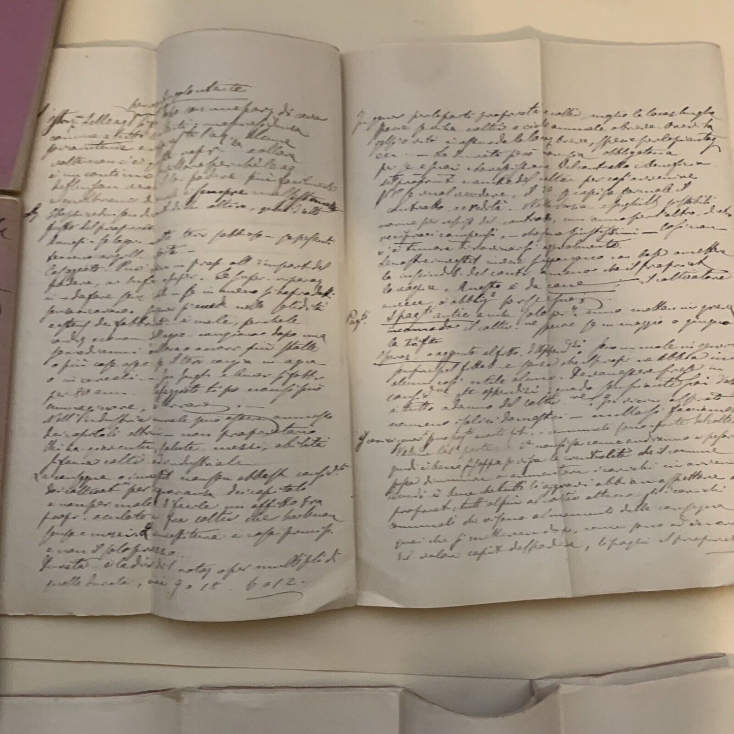 Prof. Gaetano Cantoni ?.  Appunti manoscritti di un suo studente ECONOMIA RURALE