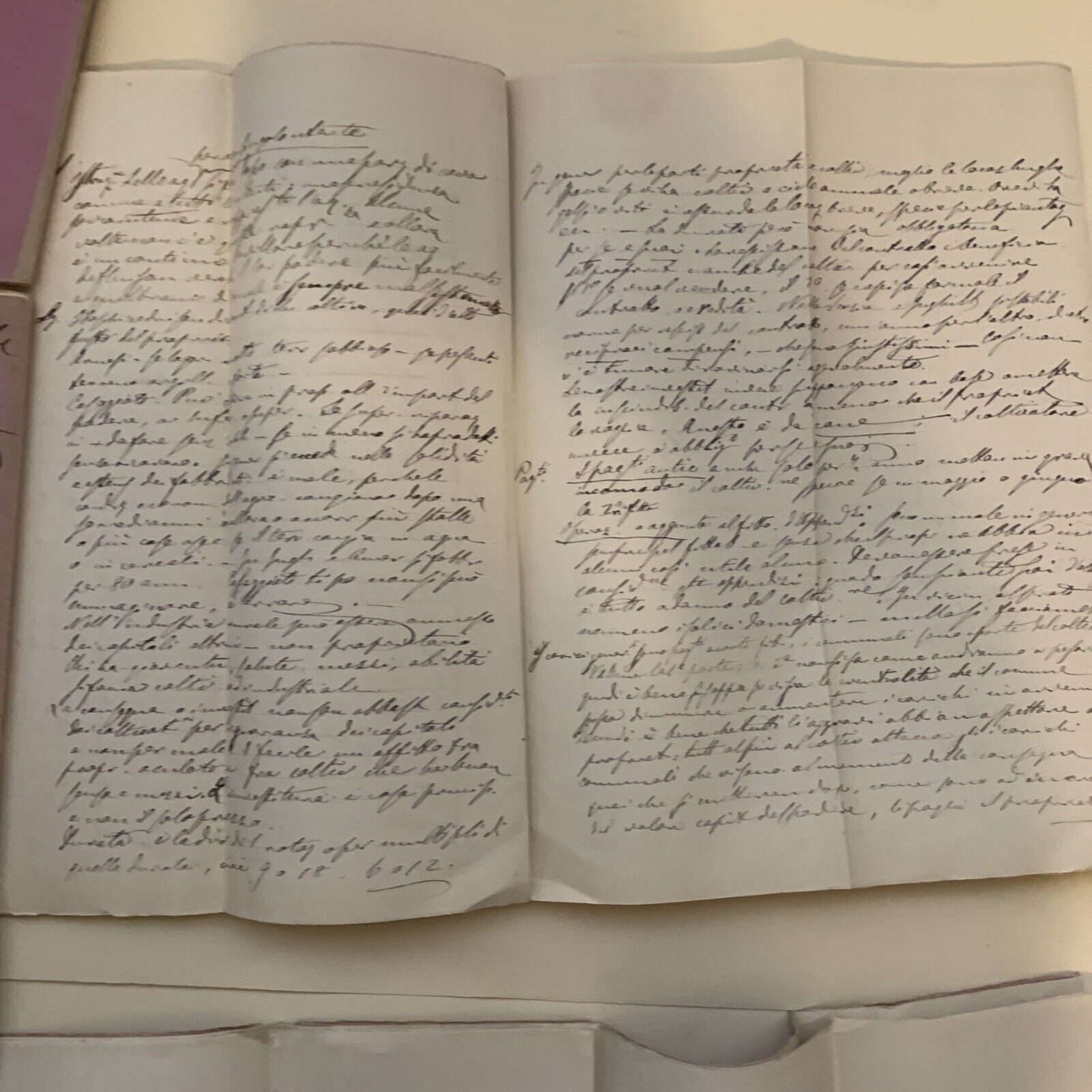 Prof. Gaetano Cantoni ?.  Appunti manoscritti di un suo studente ECONOMIA RURALE