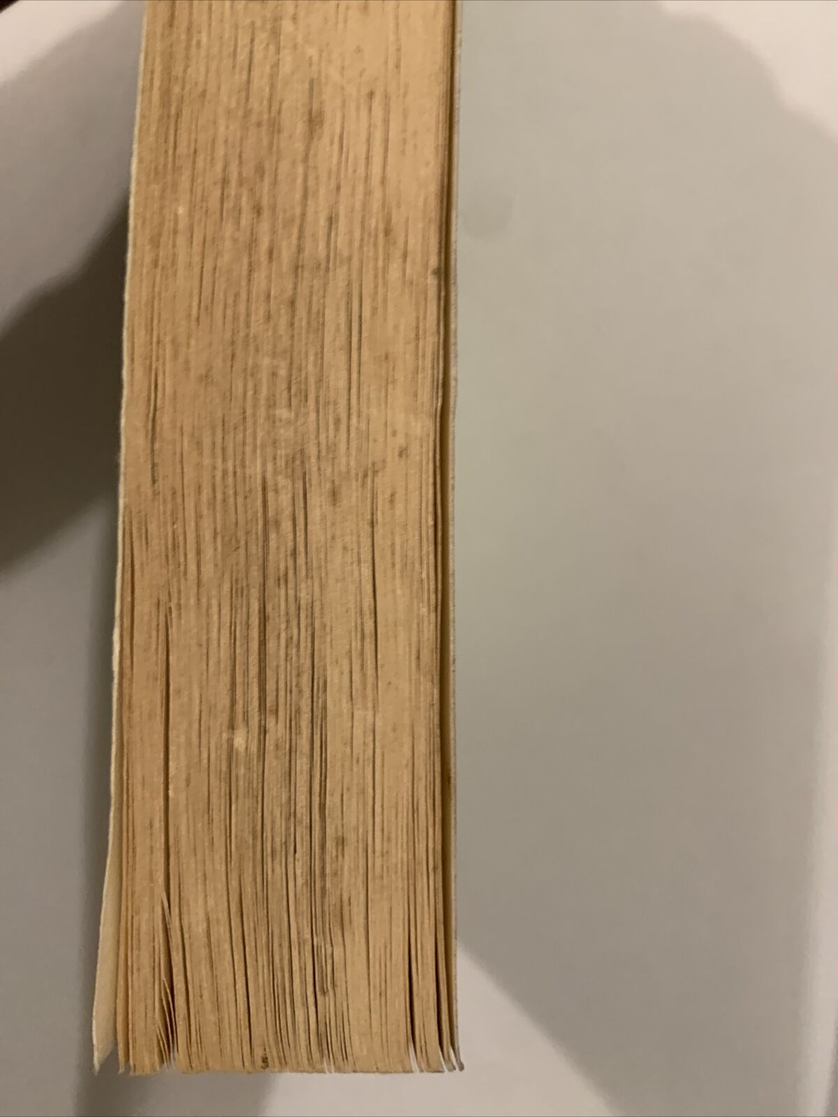 Storia dei Longobardi. PAOLO DIACONO . Tea editore 1988 #