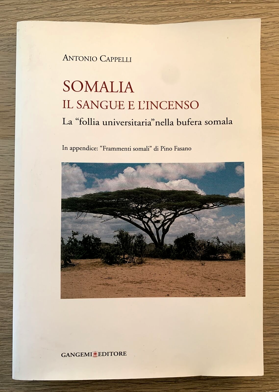 SOMALIA il sangue l'incenso. Antonio Cappelli, Gangemi editore 2011