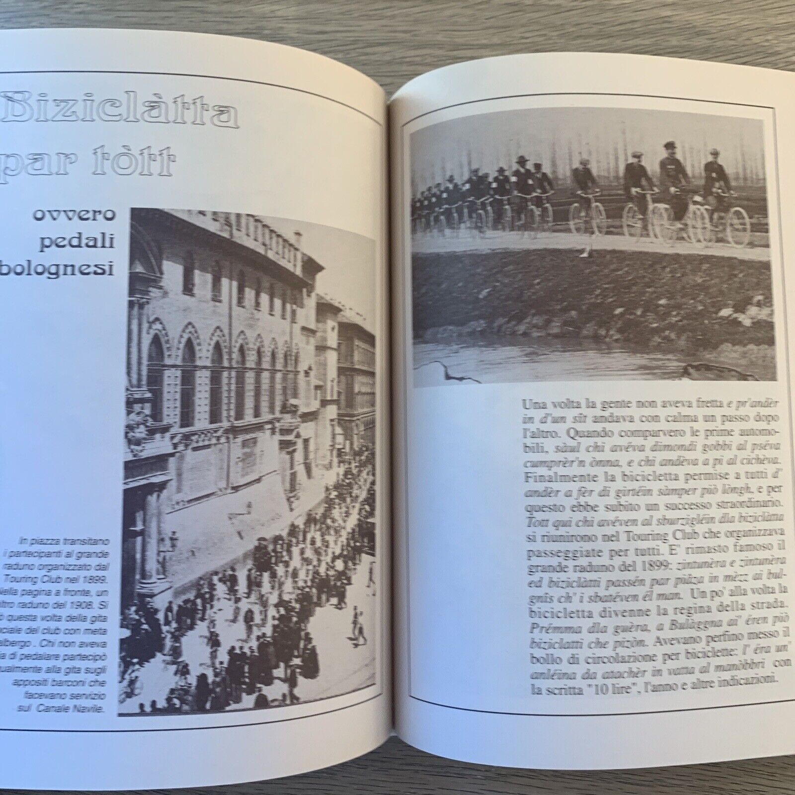 Al liber ed quall ch'pega l'oli. Agenda 1995 Bologna (non usata)