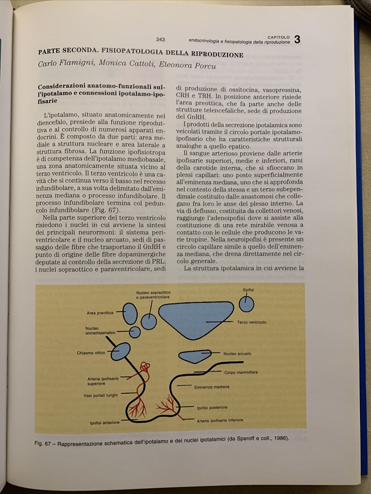 FISIOPATOLOGIA Agnoli Licastro Tomasi Zavagli. Vol. Primo 1. Clueb editore 1994