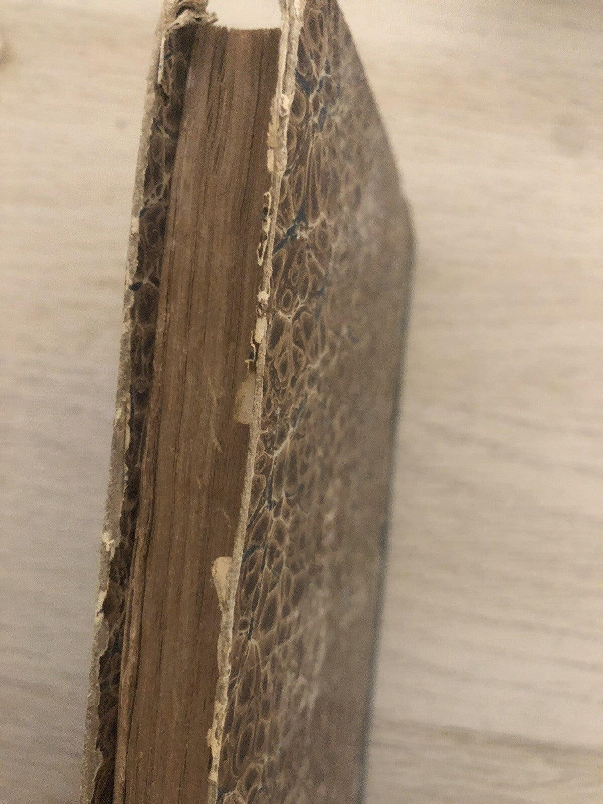 Storia fiorentina di Ricordano e Giacotto Malispini cronica fiorentina 1876