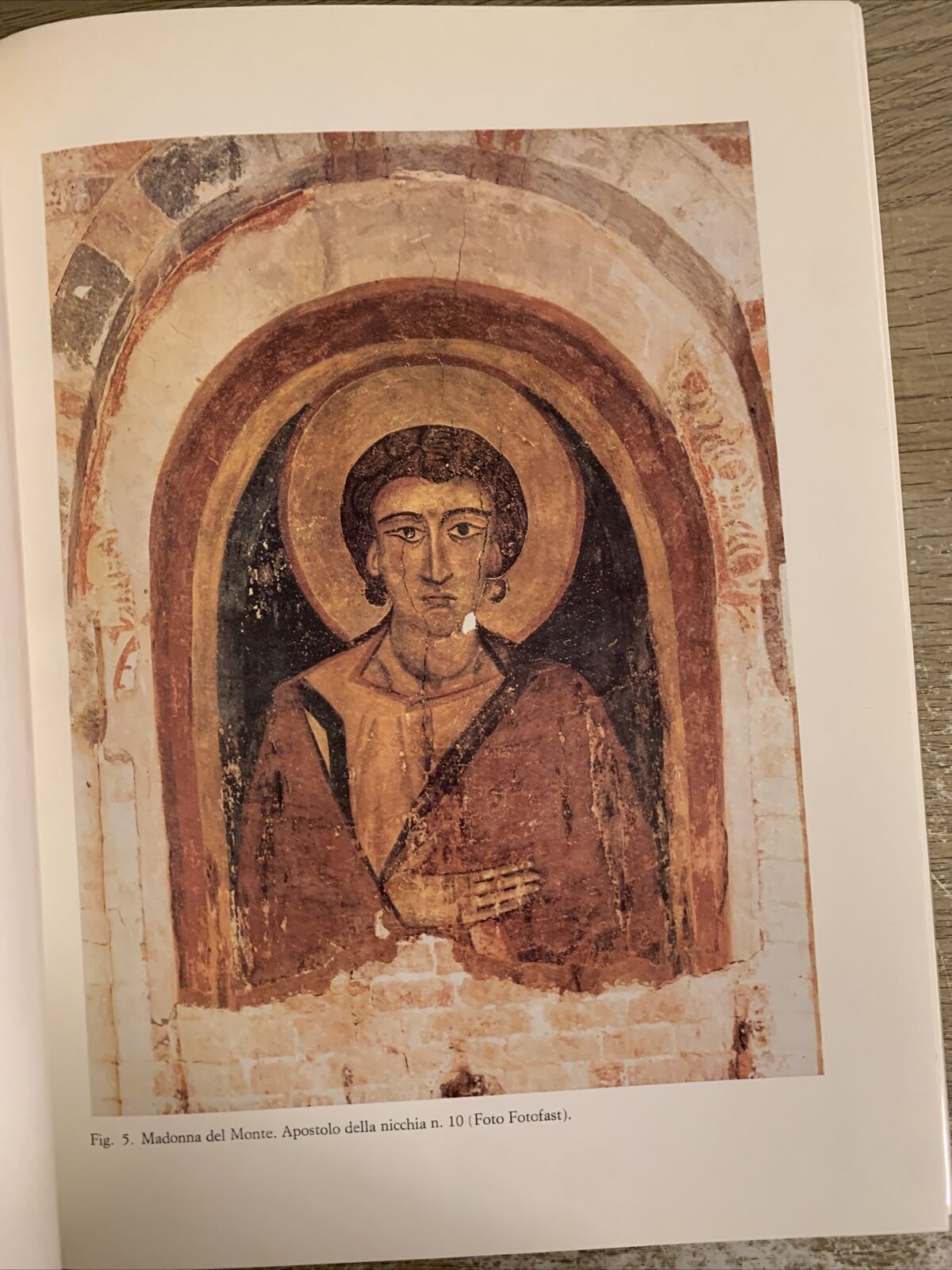La Madonna del Monte - Arte Romanica a Bologna. Nikolajevié Bergonzoni. ed. Alfa