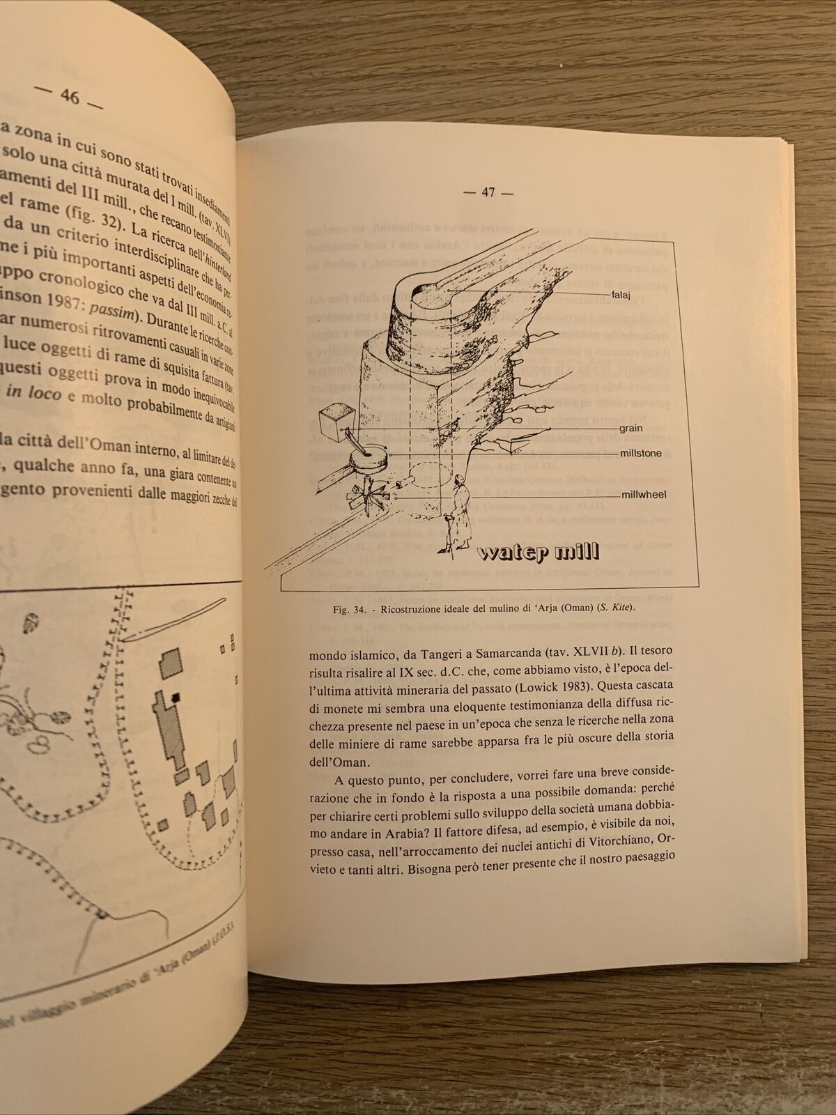 L'UOMO E L'AMBIENTE NELLA PENISOLA ARABA. PAOLO M. COSTA 1991 accademia Lincei