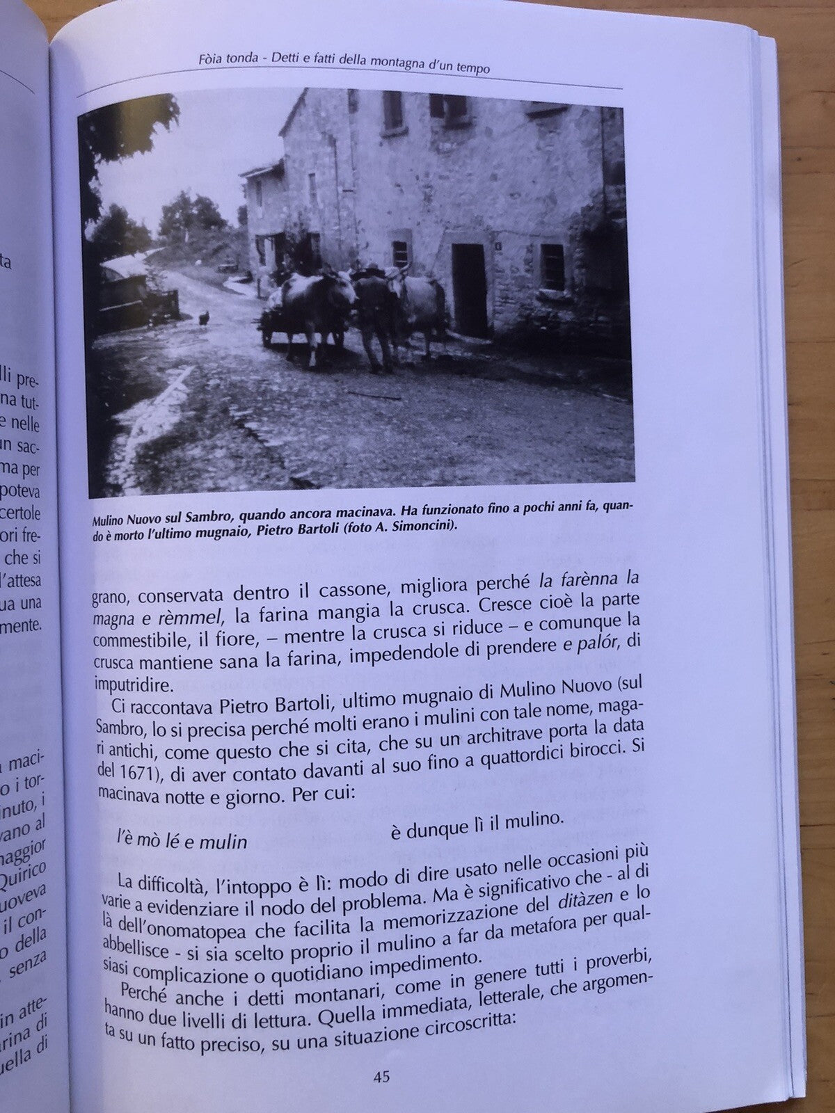 Foia Tonda detti e fatti della montagna d'un tempo A. Simoncini, Savena Setta. .