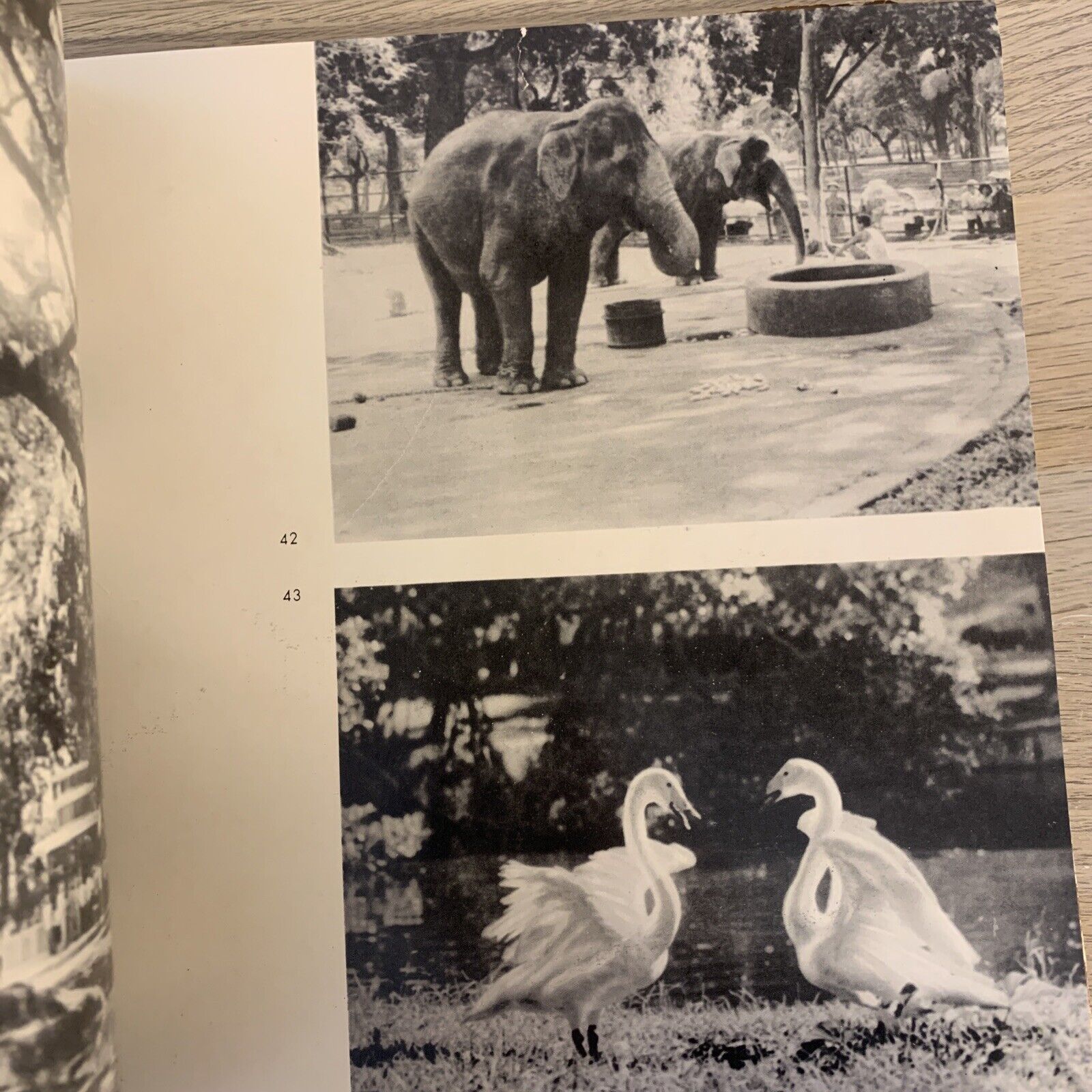HANOI nha xuat ban van hoi 1975. Hanoi Vietnam Photography *rare*