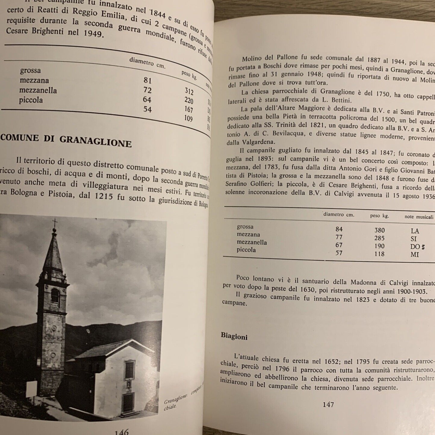 La Diocesi di Bologna e i suoi campanili. Stefanelli Evaristo. 1975