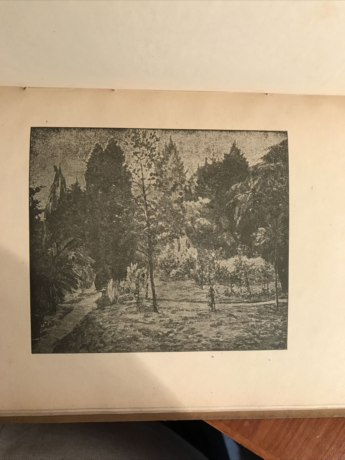 GINO ROMITI pittore Bottega d' arte 1922