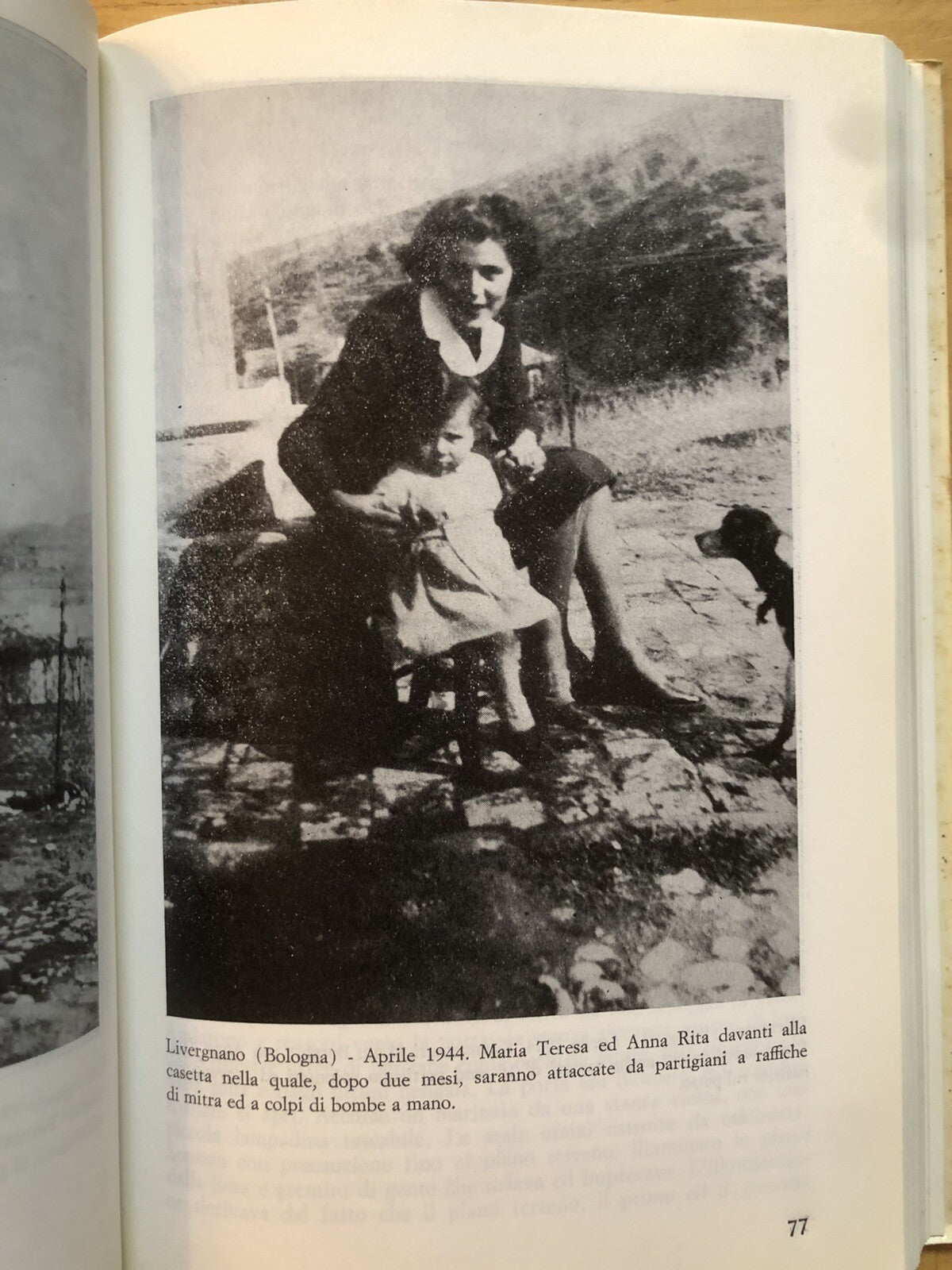 Un alcione dalle ali spezzate Parte terza, La Caduta. Sergio Nesi *Autografato**