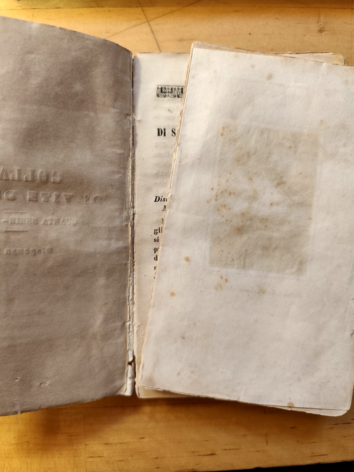 Vita di S. M. Maddalena de' Pazzi Carmelitana osserv. - Vincenzo Puccini 1869