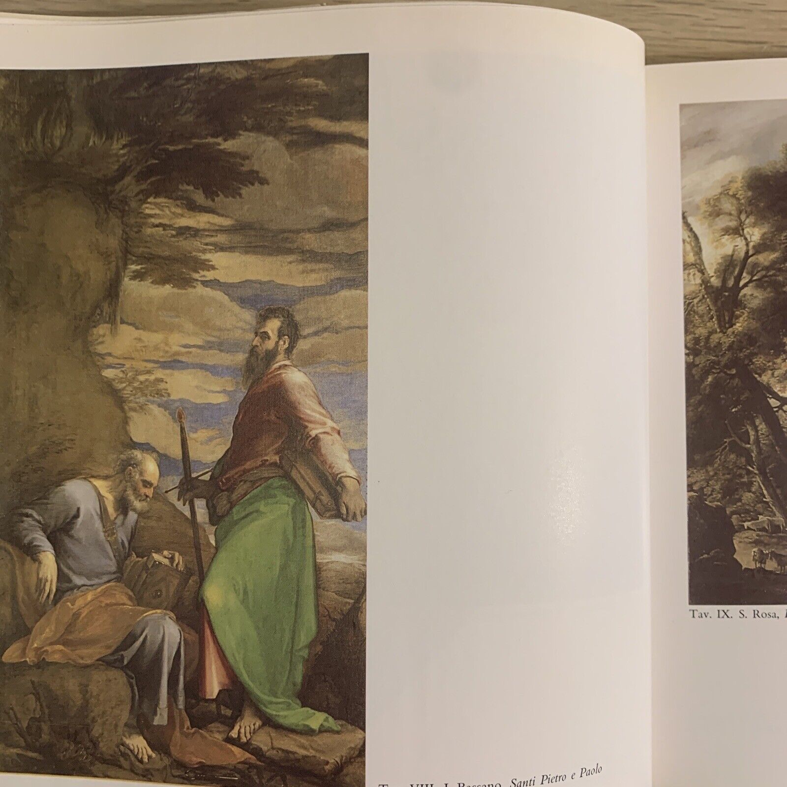 LA GALLERIA ESTENSE DI MODENA. guida illustrata. Nuova Alfa editoriale 1987