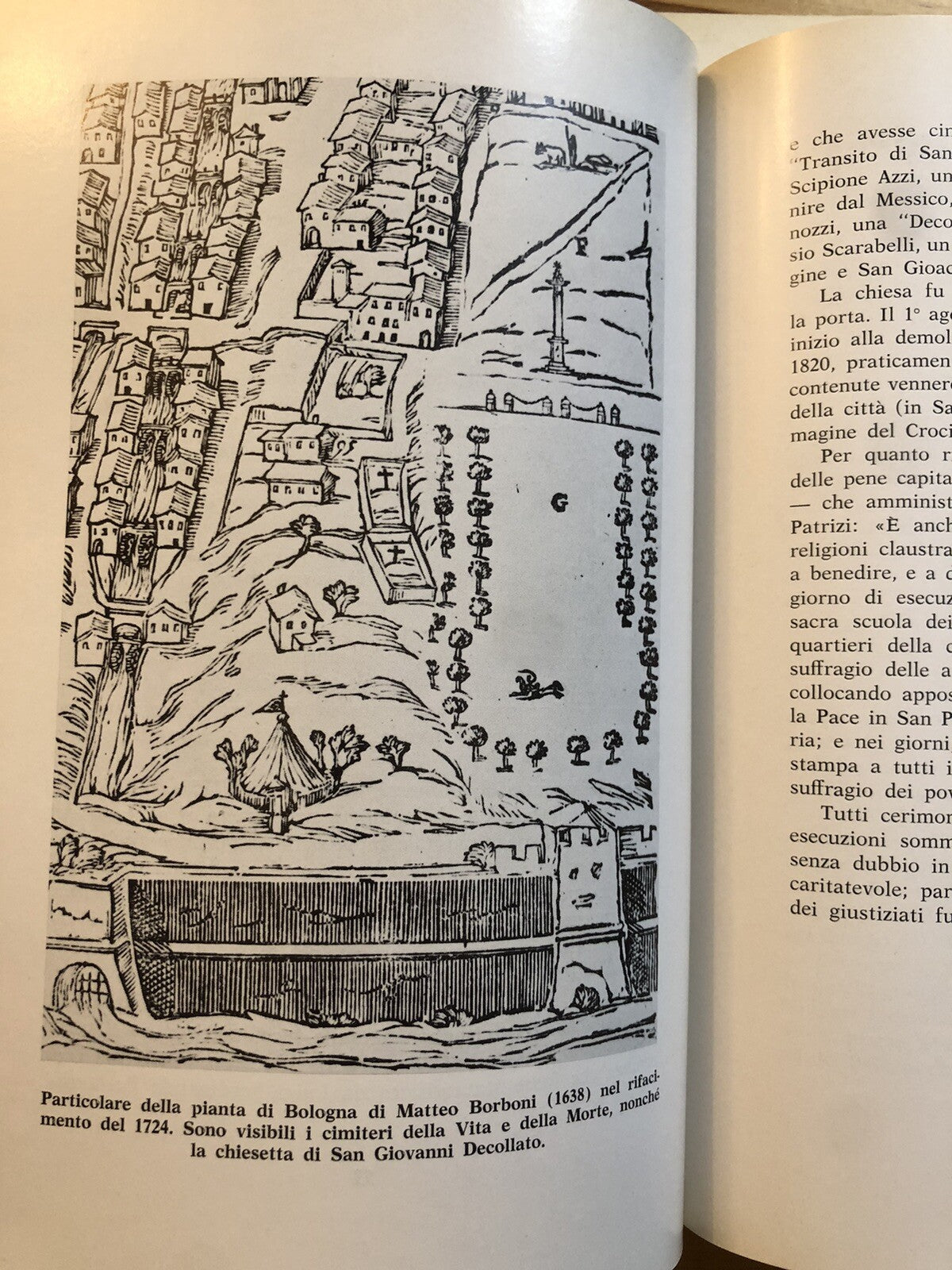 L'antica Università di Bologna, Bologna dimensione Montagnola, Athos Vianelli